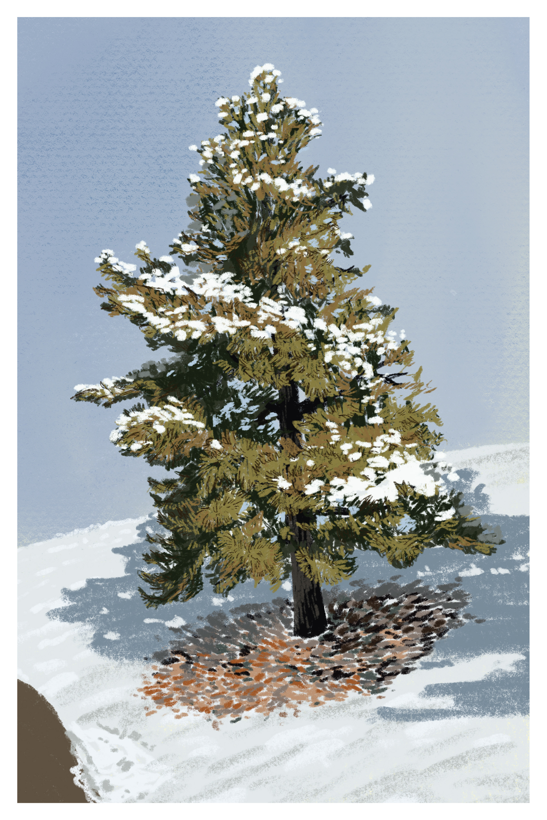 "Tree"