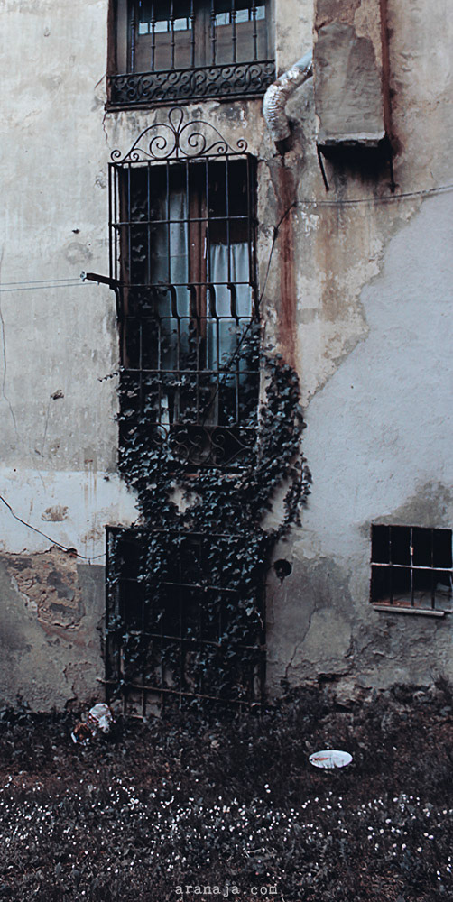 Suburbia color II 2013