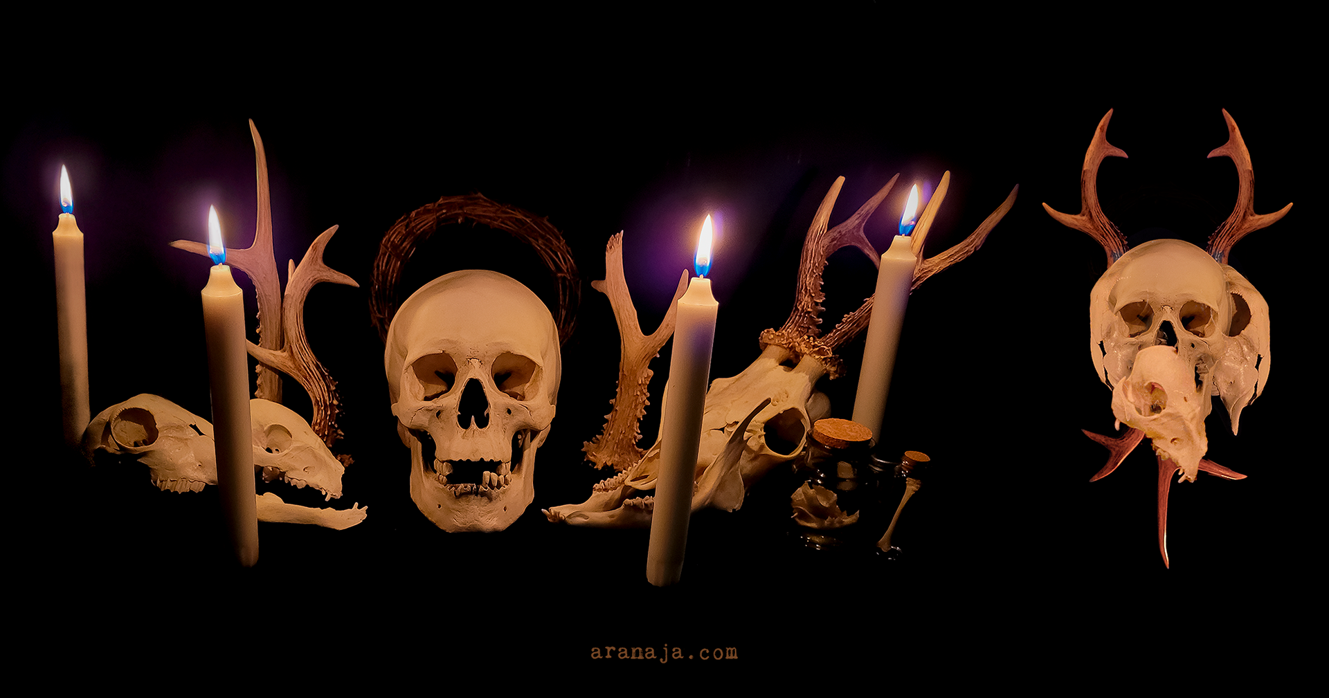 Still Life MMXXII 2022