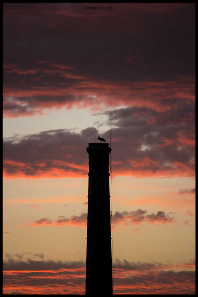 Sunset-XXI-V-MMXVII 2017