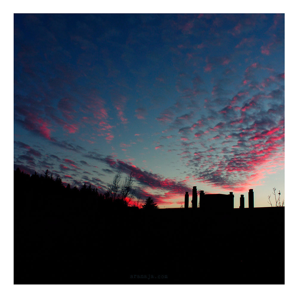 XVII-II-MMXVII 2 2019