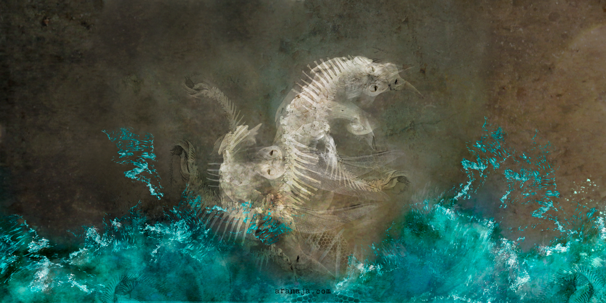 Sedna (booklet) 3 2018