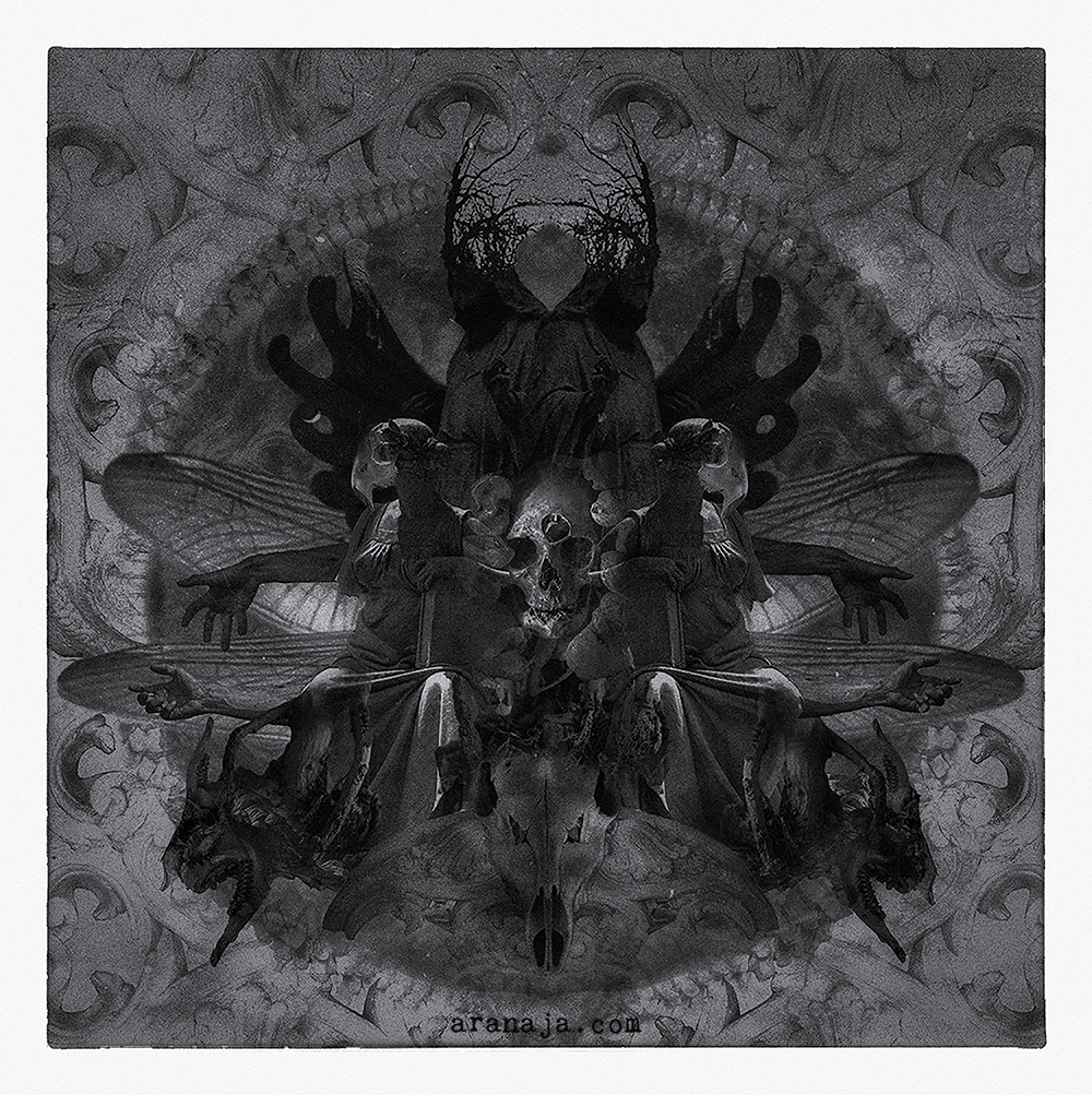 Transzendierung Vakuum 2019