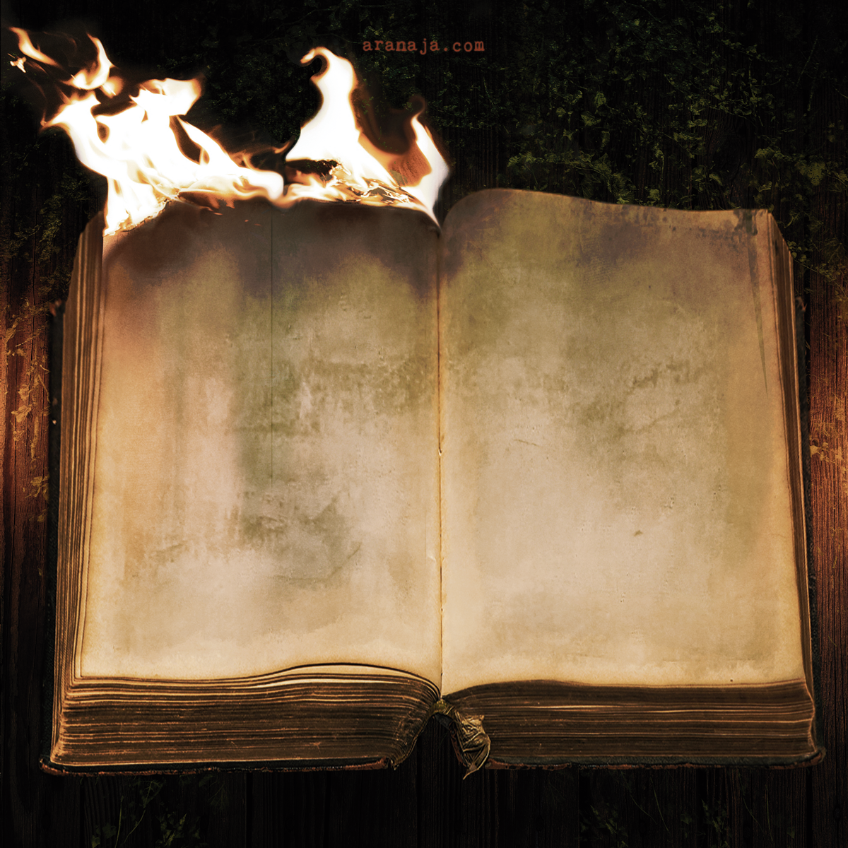 Taratulia booklet  pag 10   2021