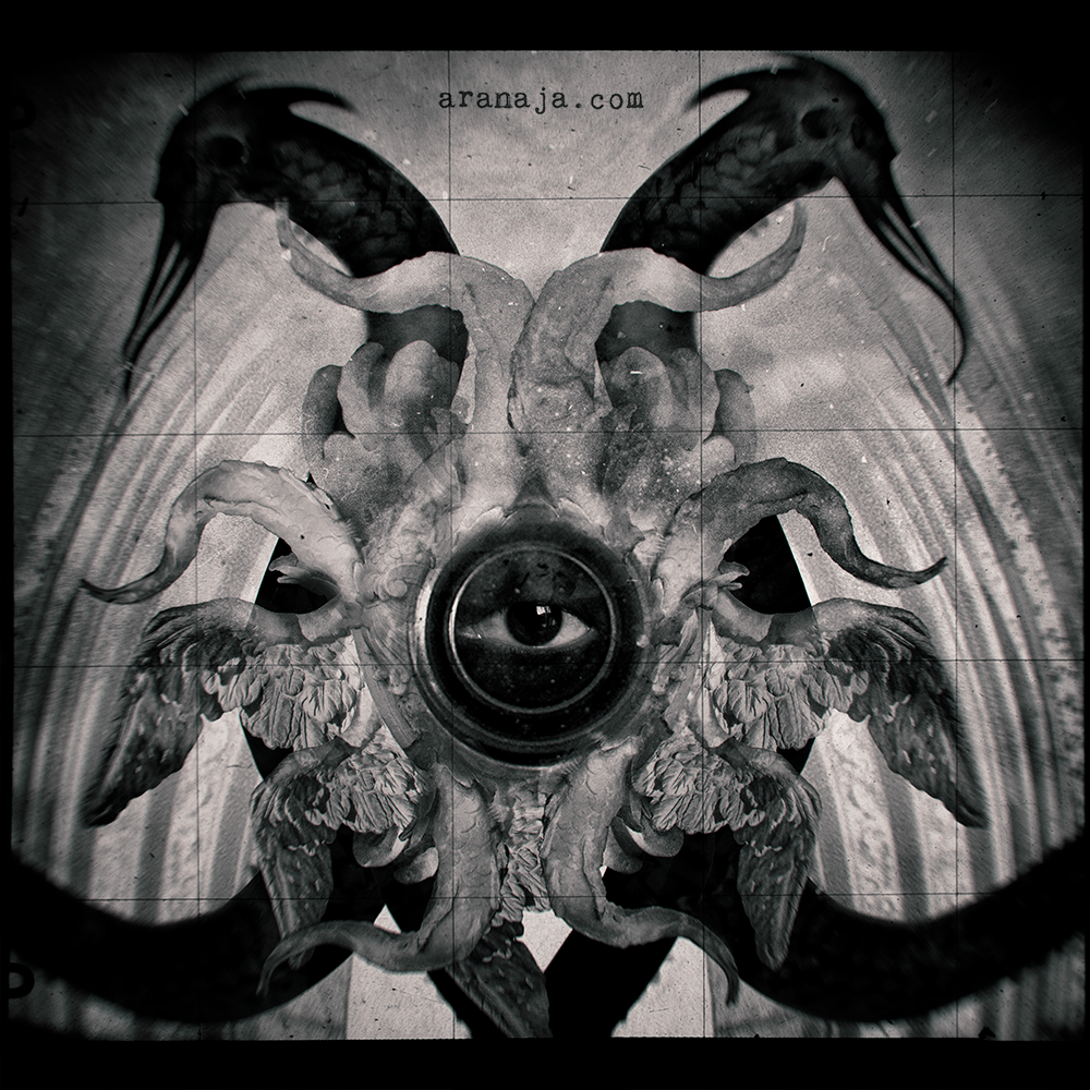 Hellseher (back) 2019