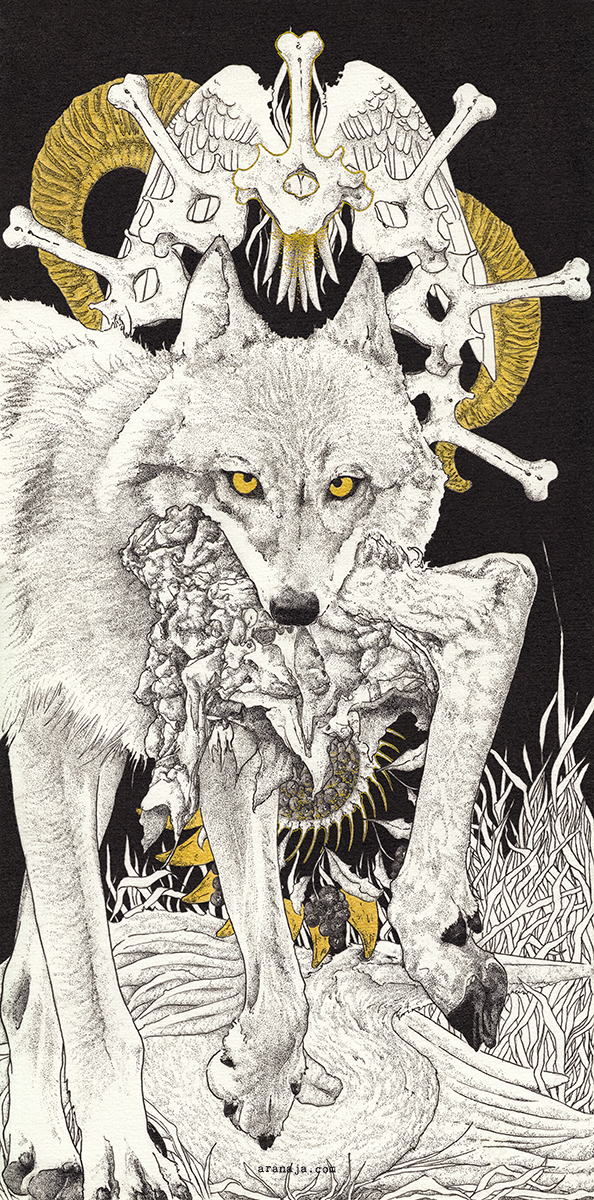 Carnivore 2017