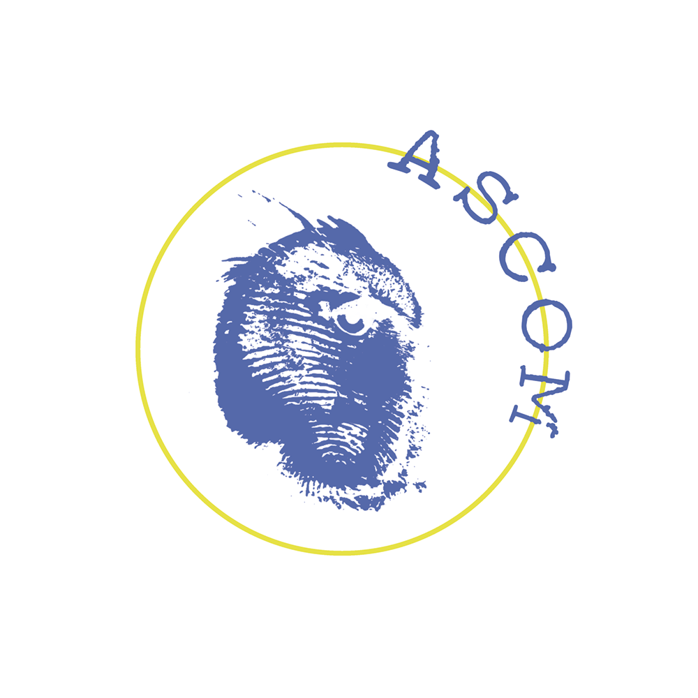 Ascom logo 2017
