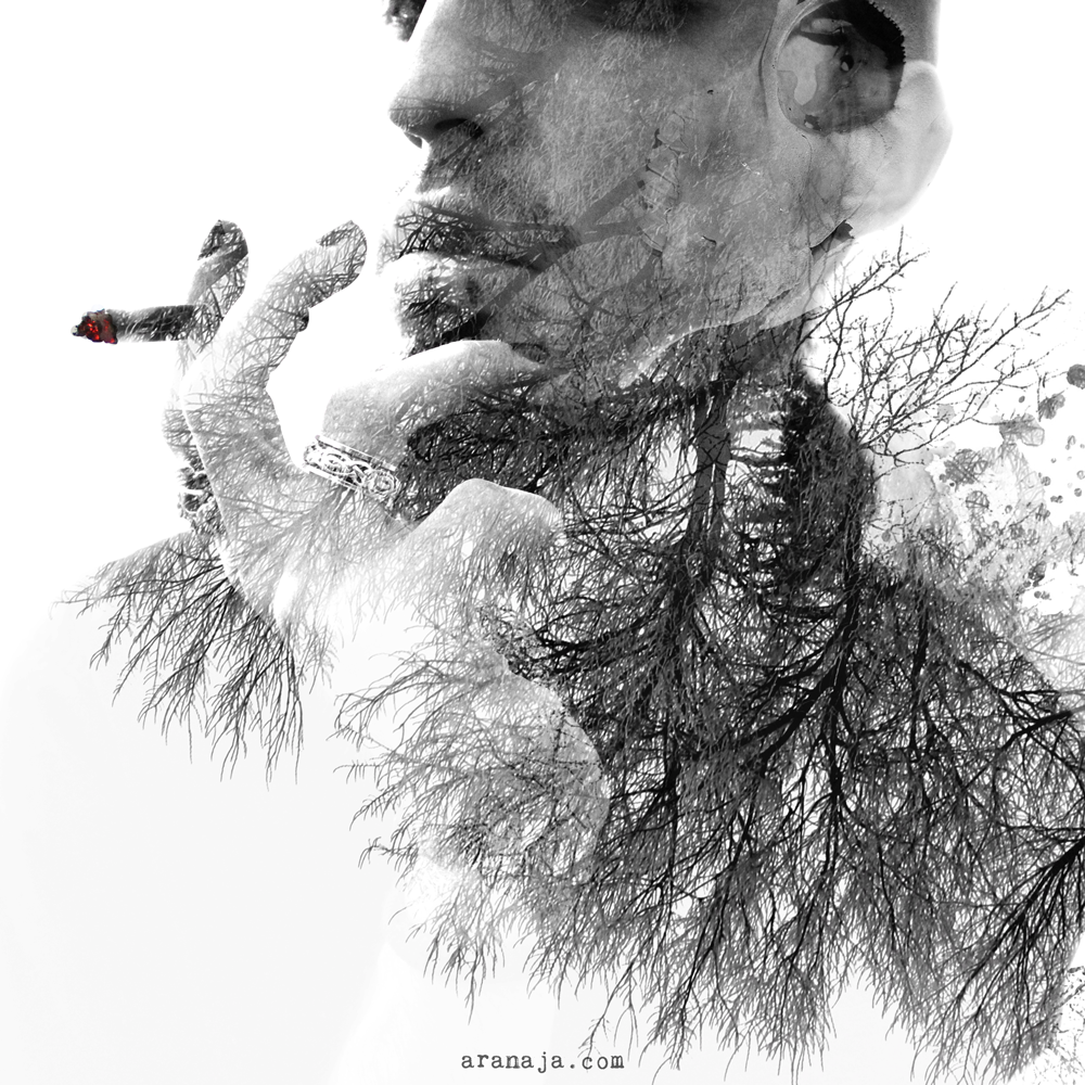 Memories of dead trees 2015