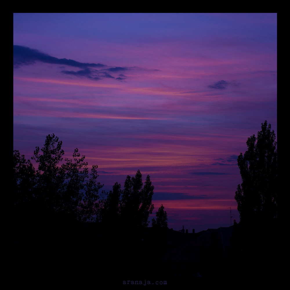 Sunset II-IX-MMXVI 2018