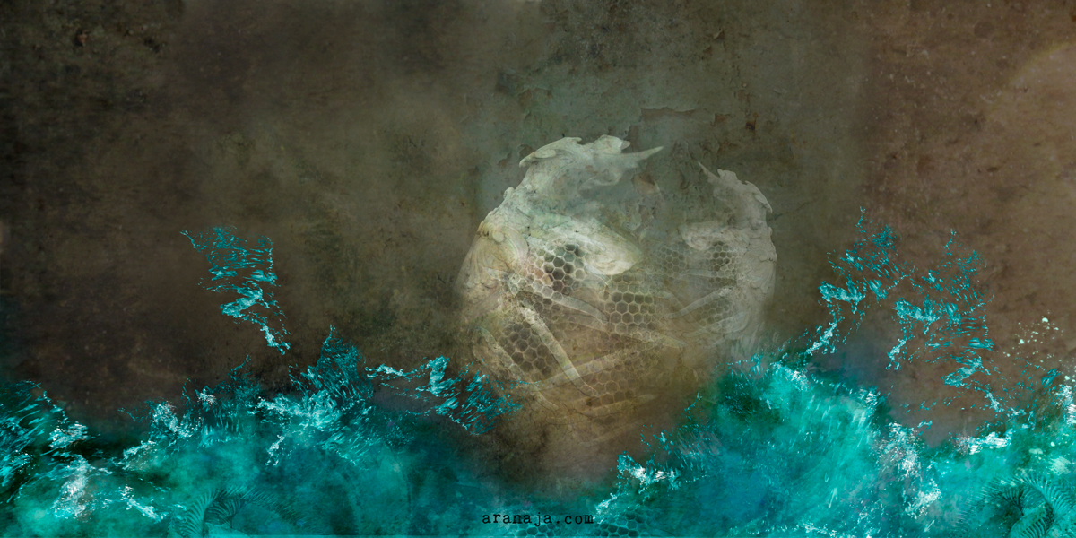 Sedna (booklet) 1 2018