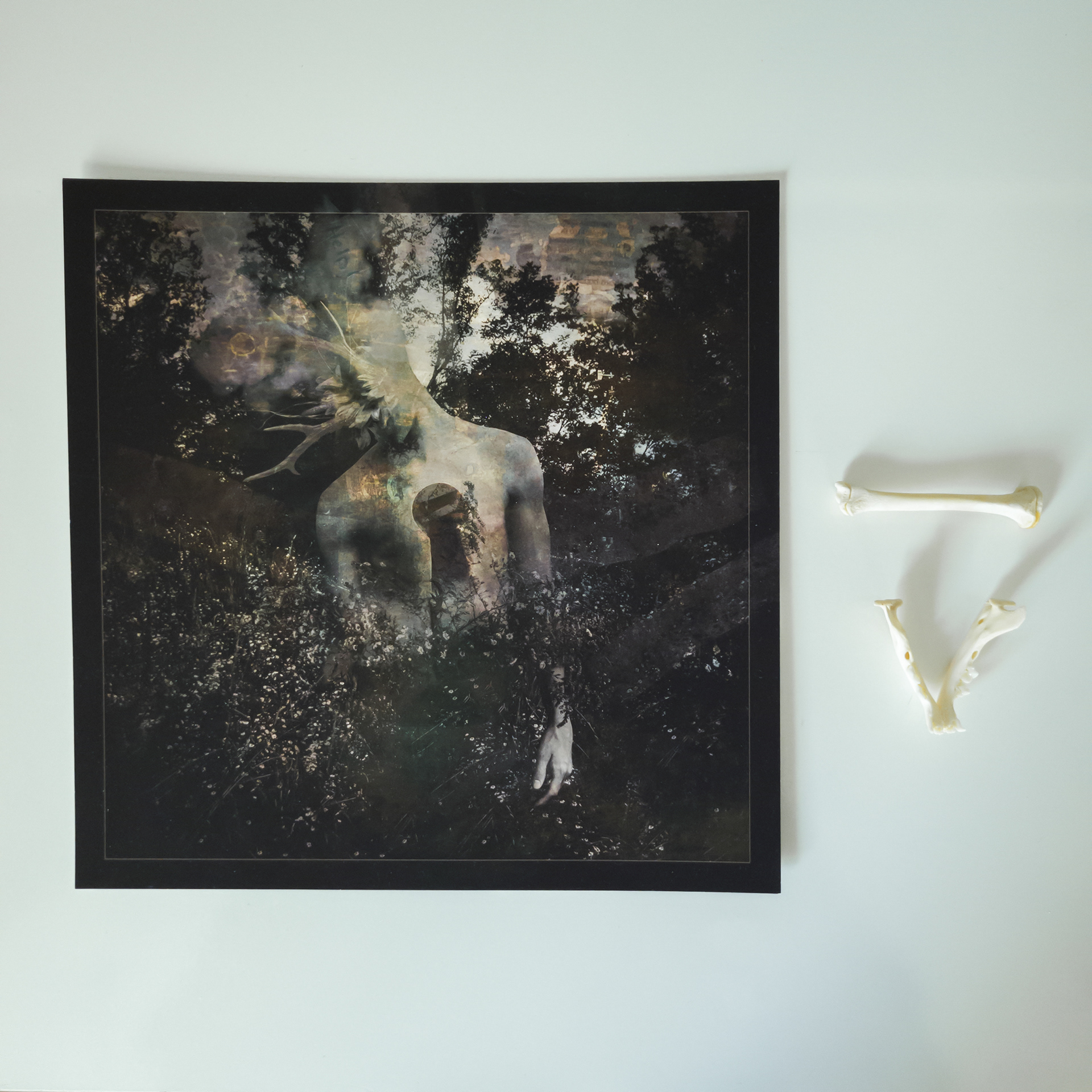 Rücker 20 x 20 cm print