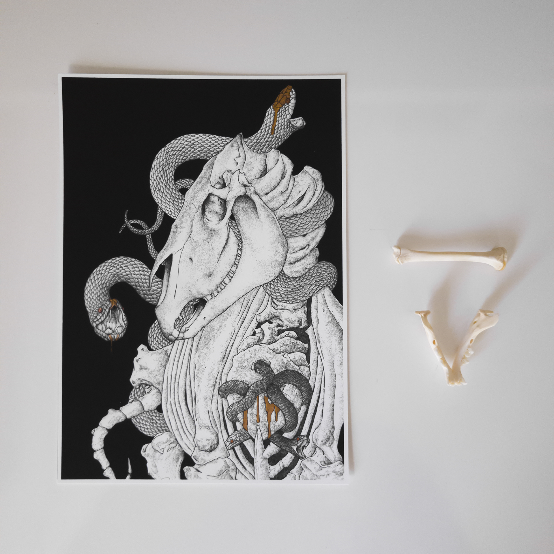 Horse of the Death A5 print 