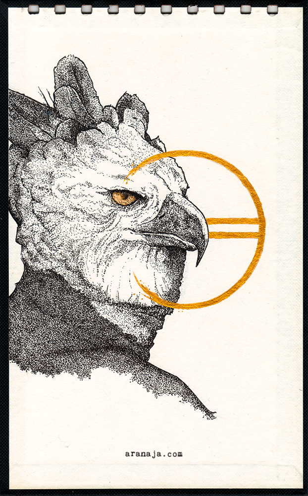 Harpy-Eagle 2016