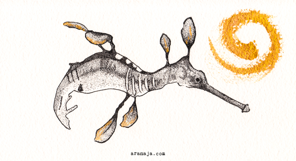 Seahorses II 2015