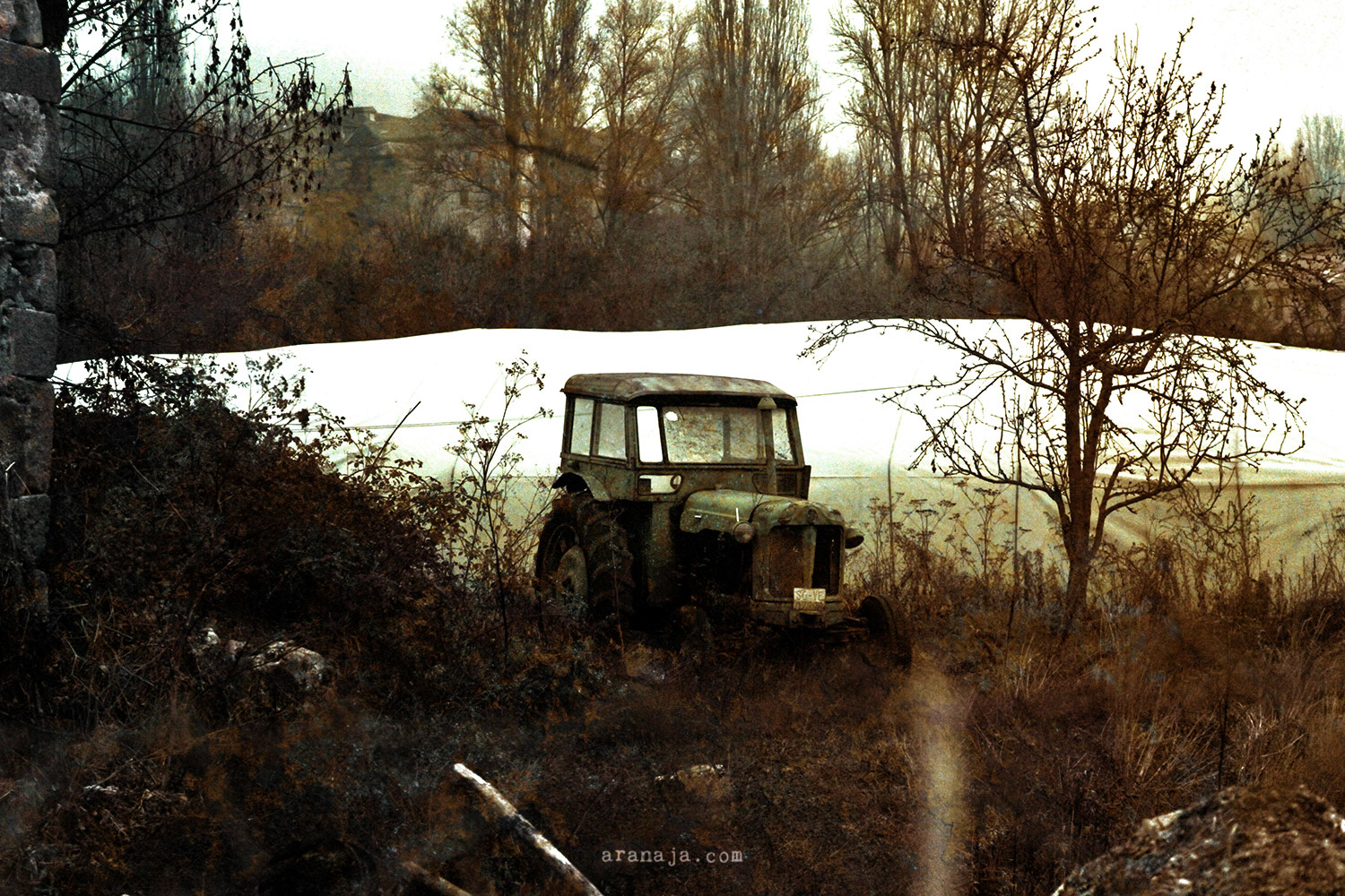 Of Time and Forgetting 2012