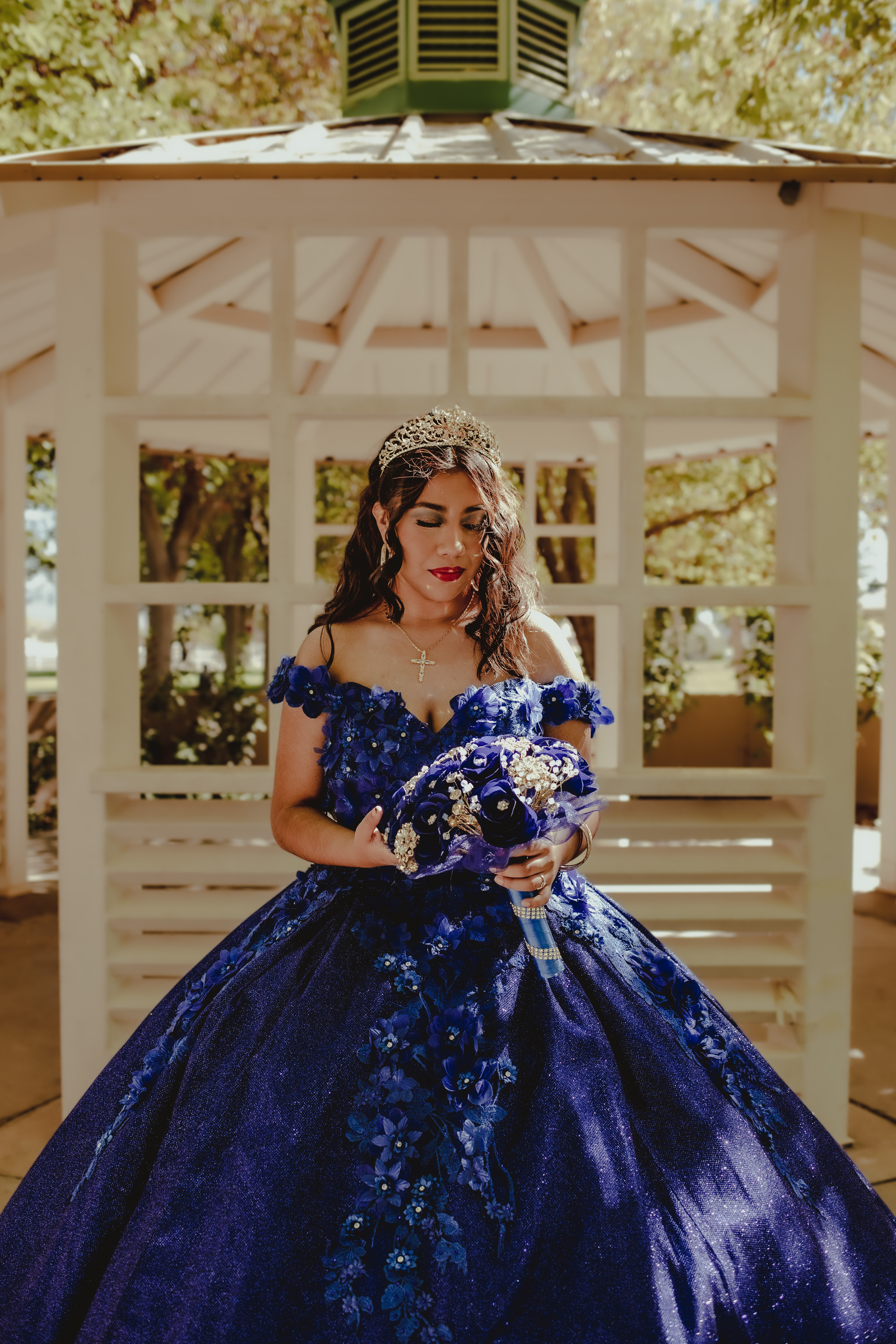 quinceañera portrait