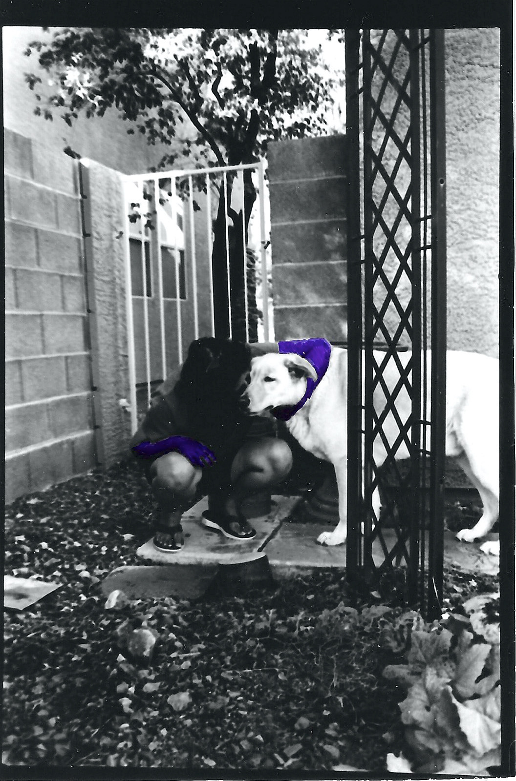 mom & the dog