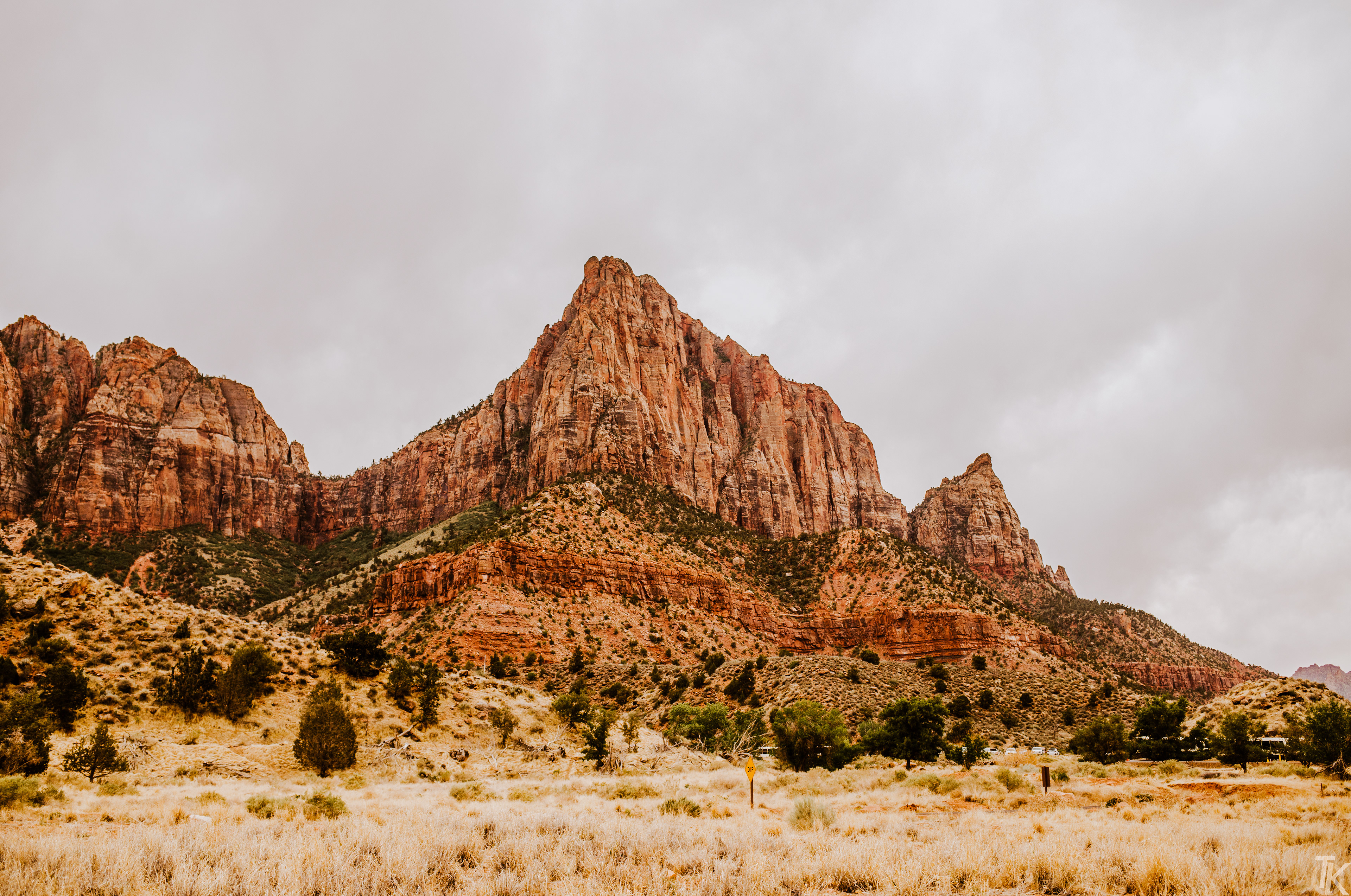 2021 - zion