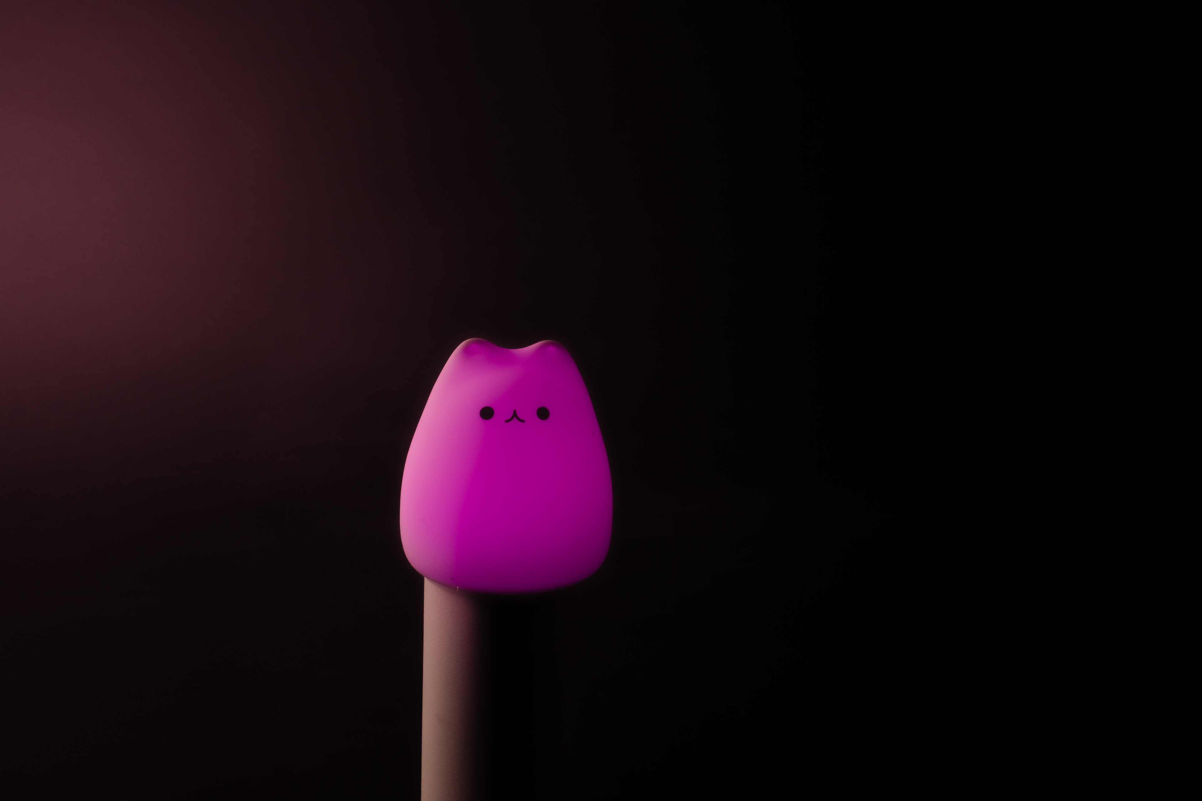 Cat Lamp (2022)