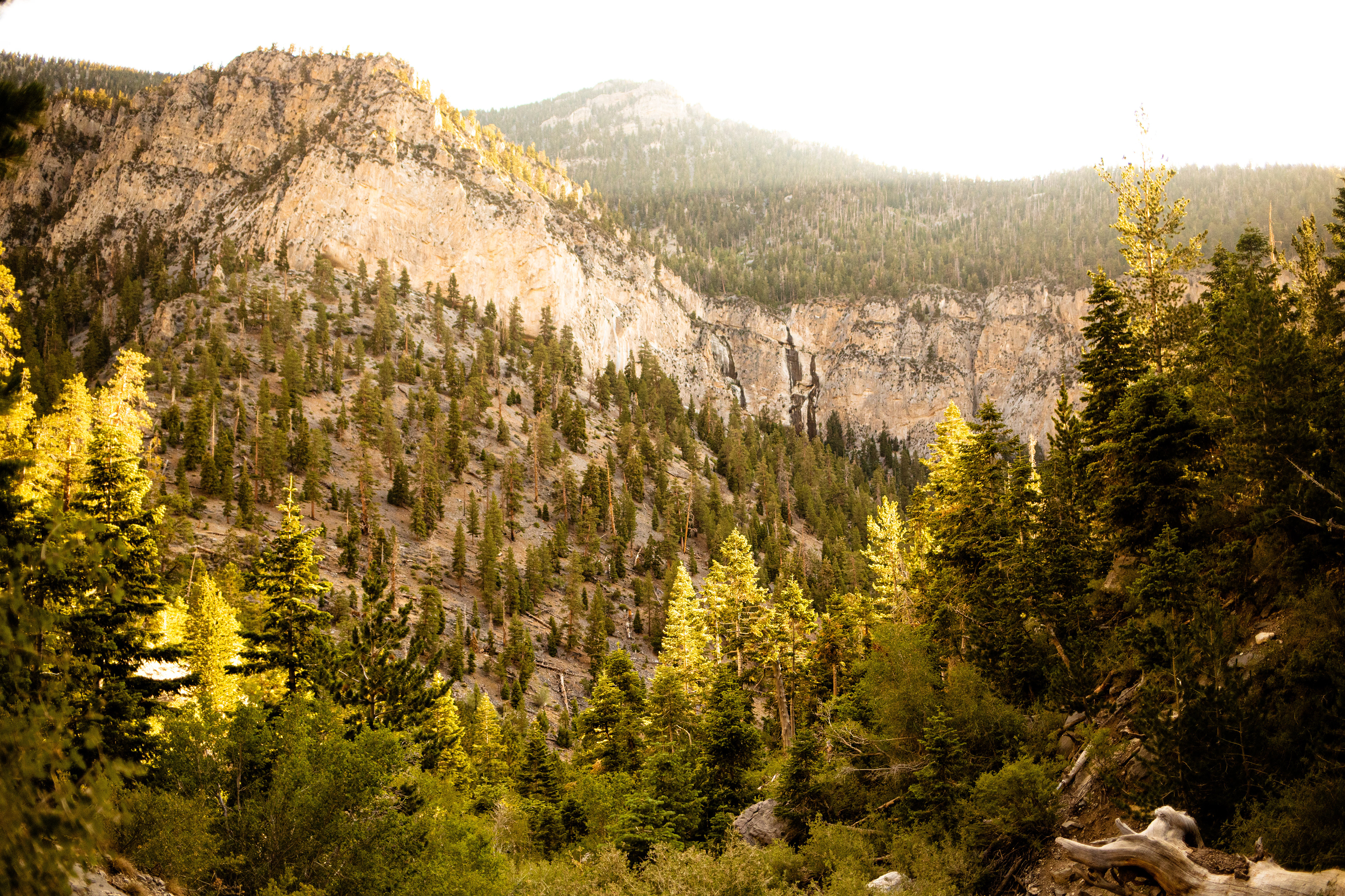 2020 - mt. charleston
