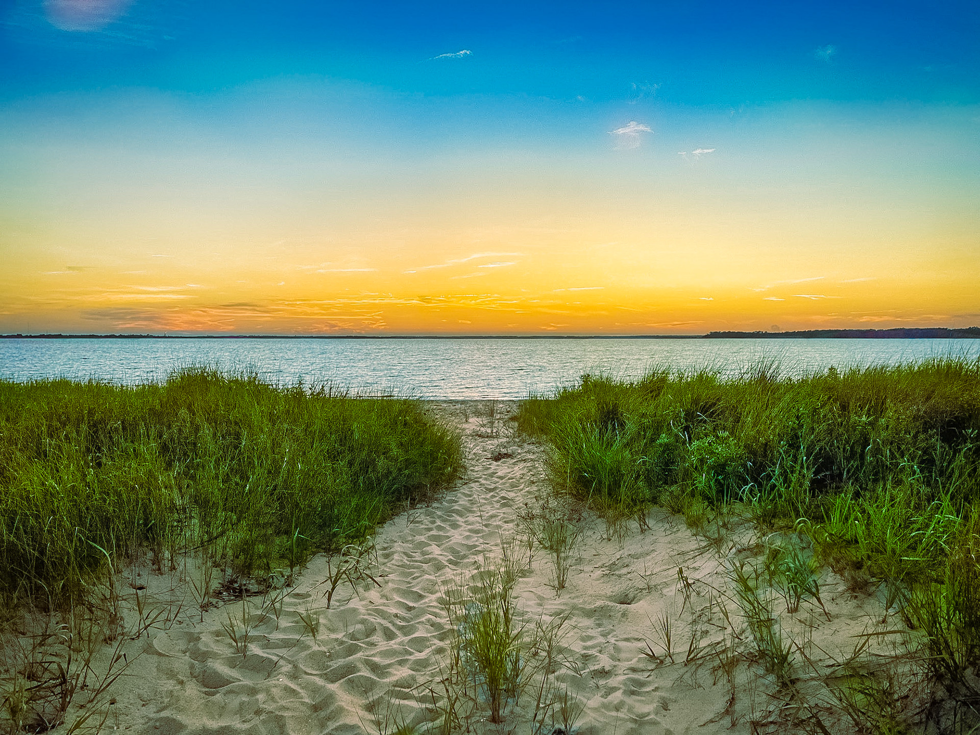 Assateague Island, Virginia