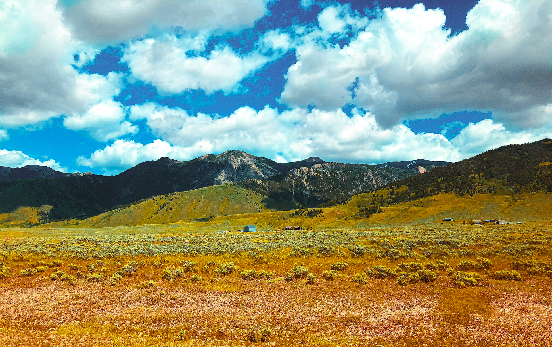 Montana Countryside