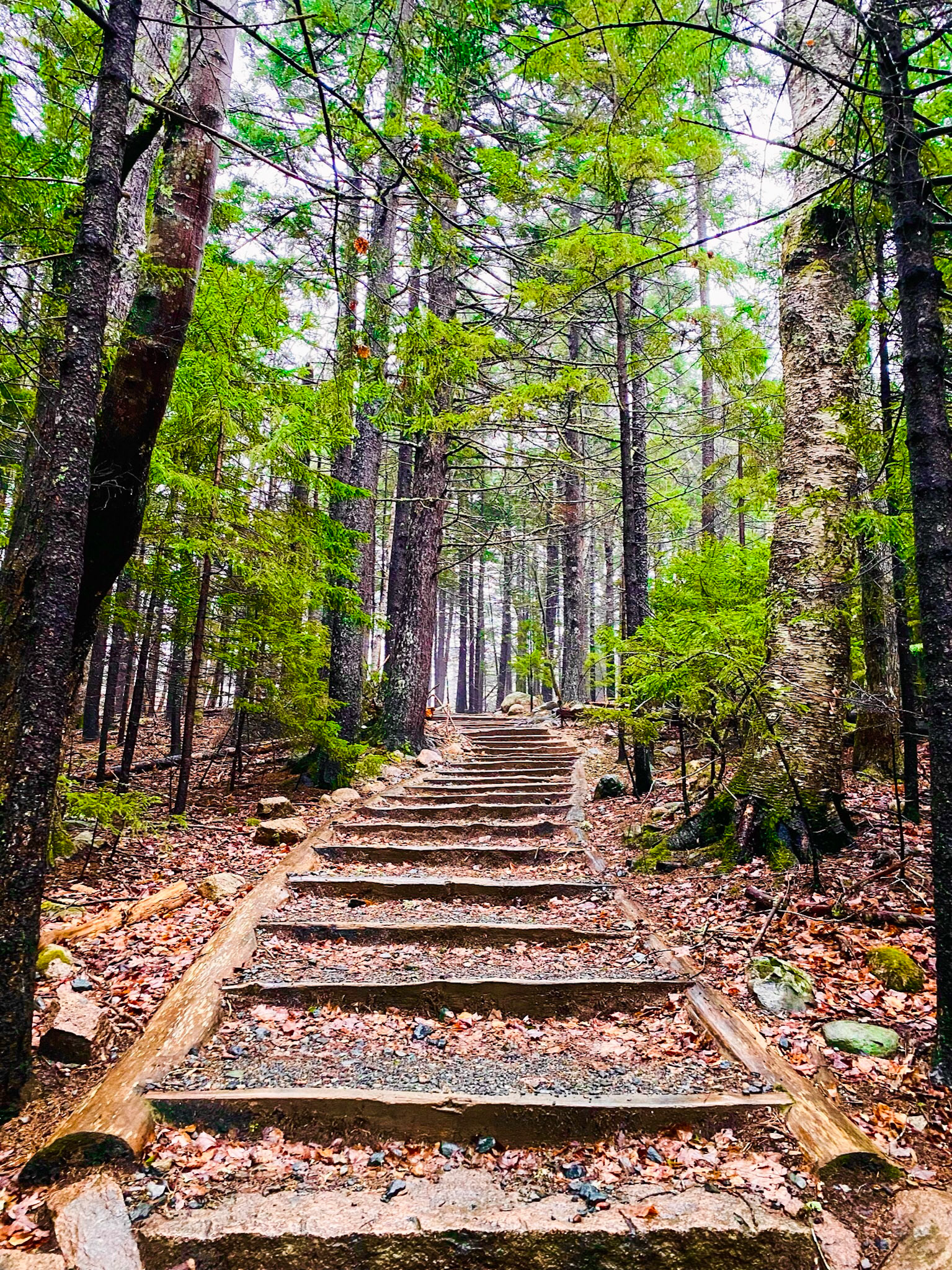 Acadia National Park, Maine
