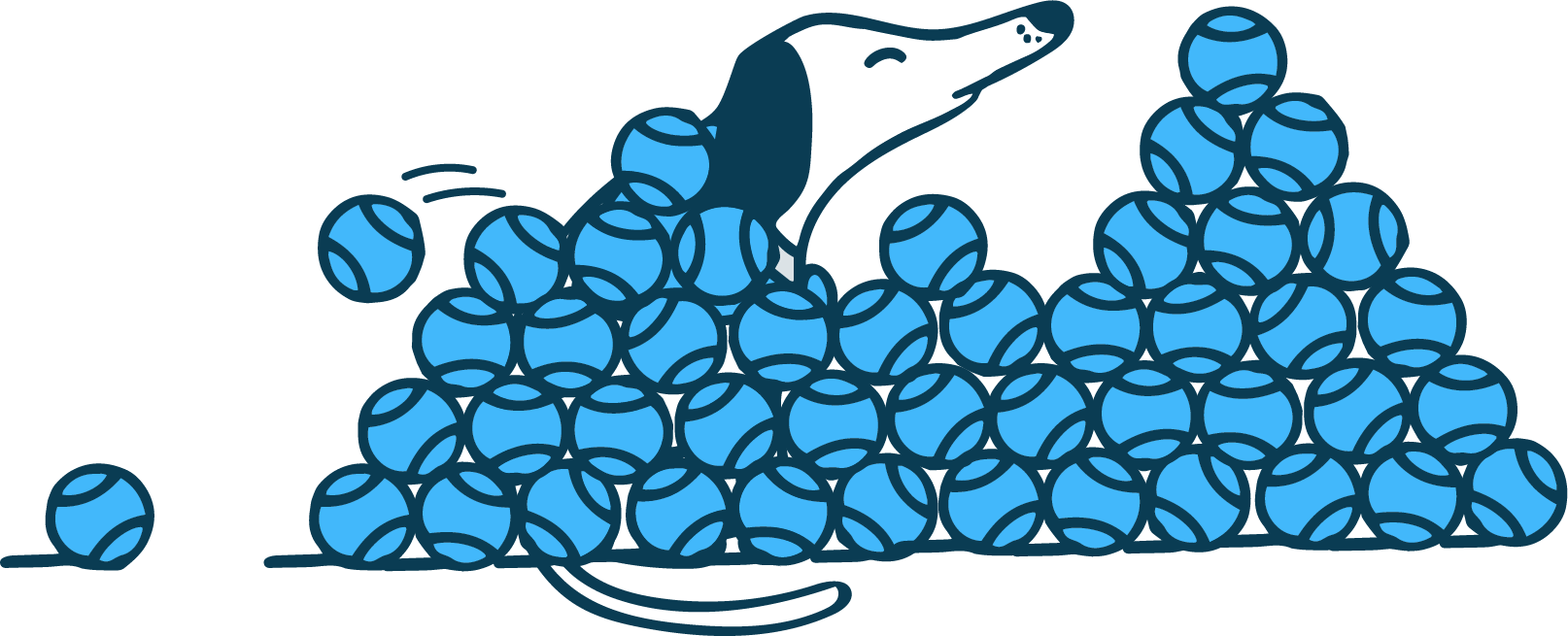 Email banner designed for the content of the email. It was about abundance ;)