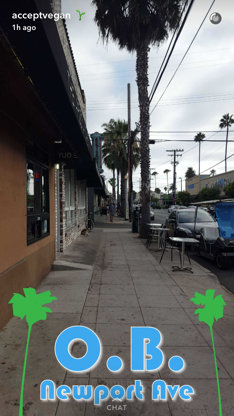 In context- Snapchat geofilter design created for the community filter which has been used over 5 million times since it's inception in 2016. This is an iconic area of Ocean Beach, San Diego with a palm lined street to the beach.