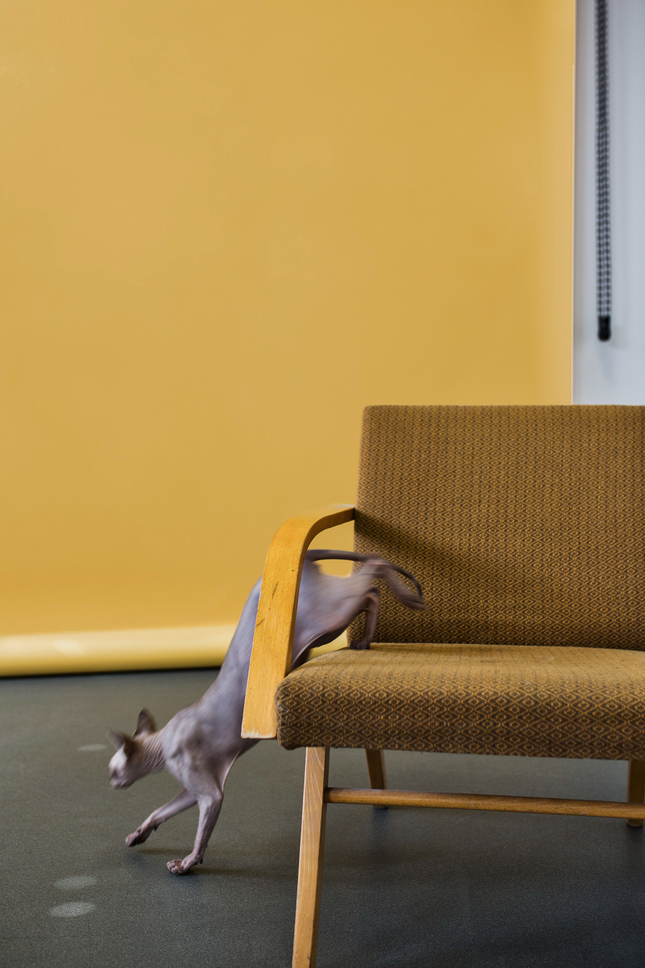 BIBLOO shoes campaign