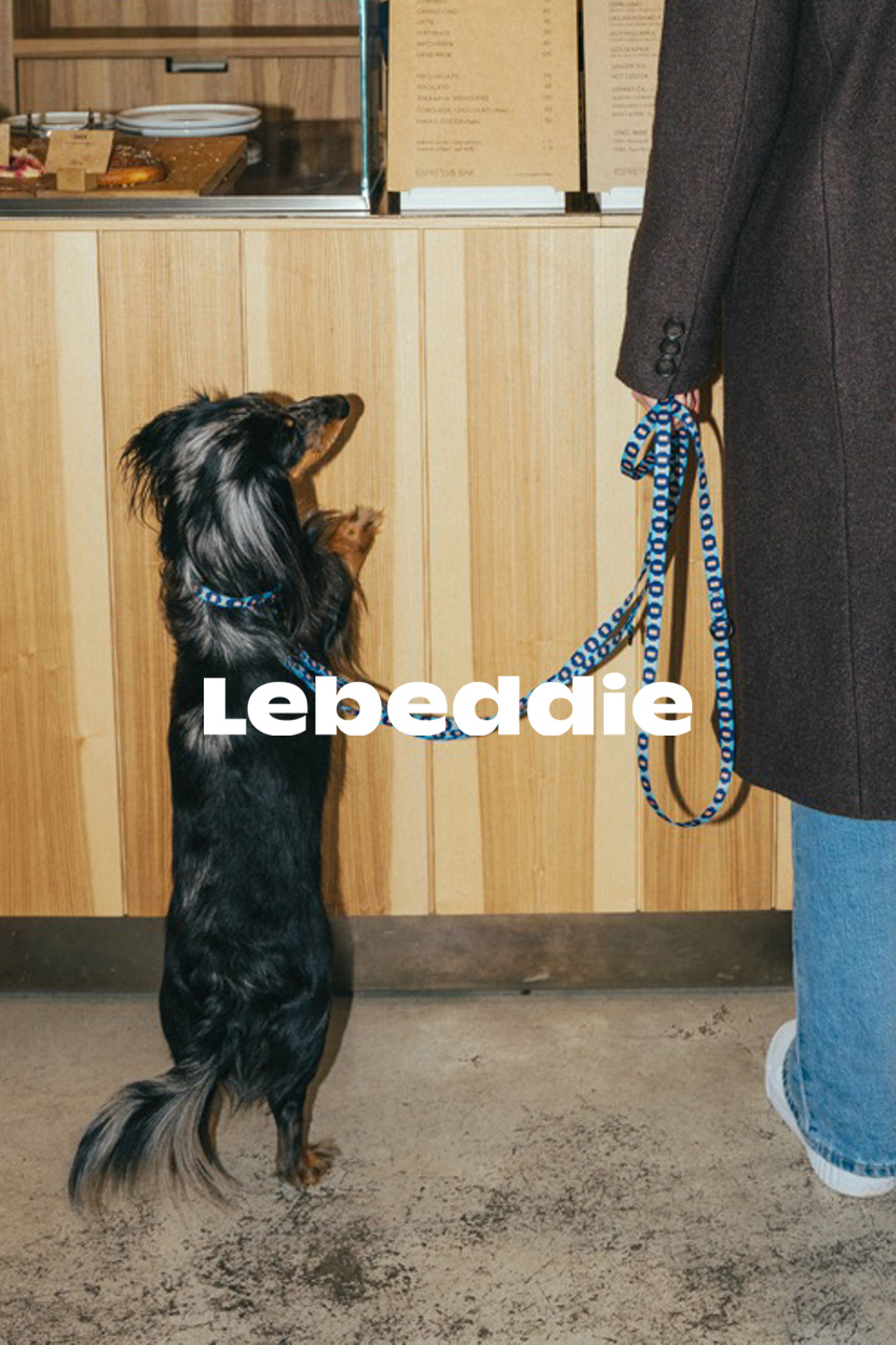 LEBEDIE