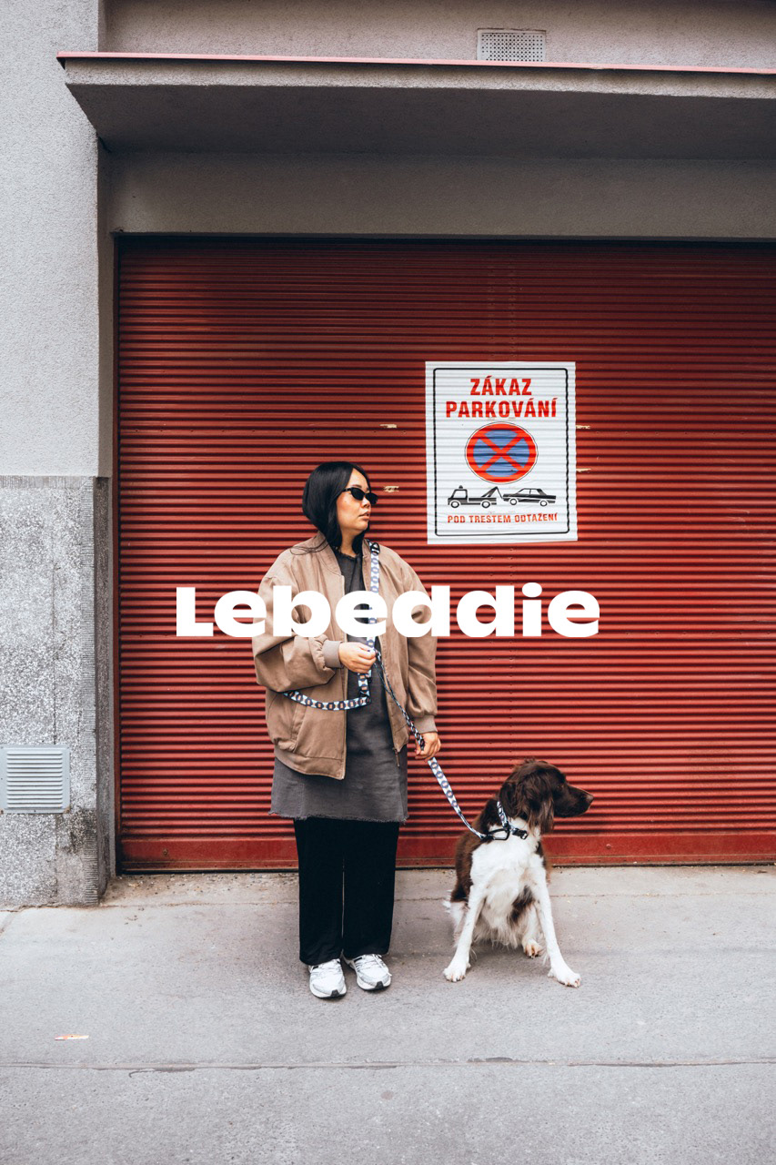 LEBEDIE