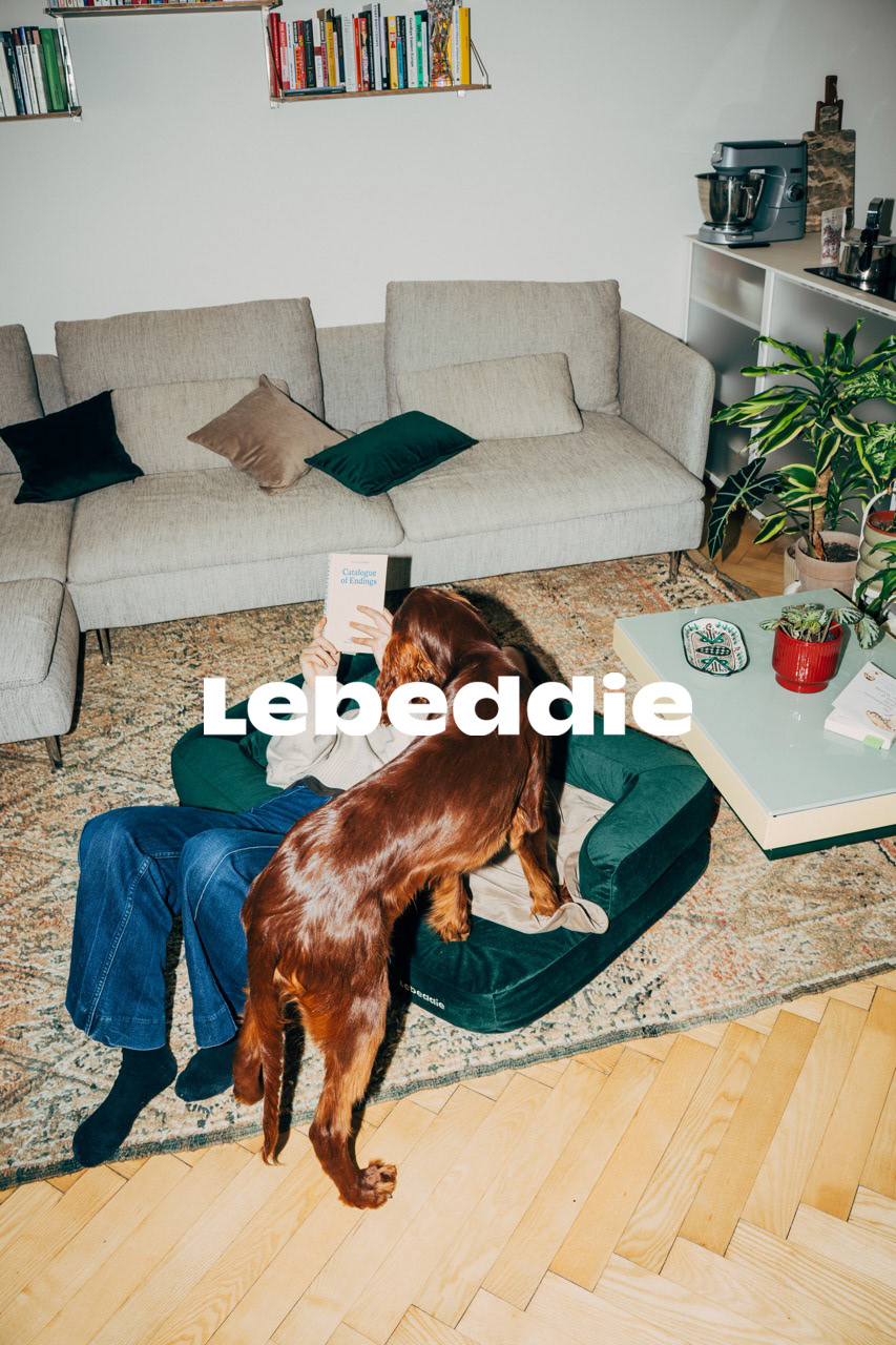 LEBEDIE