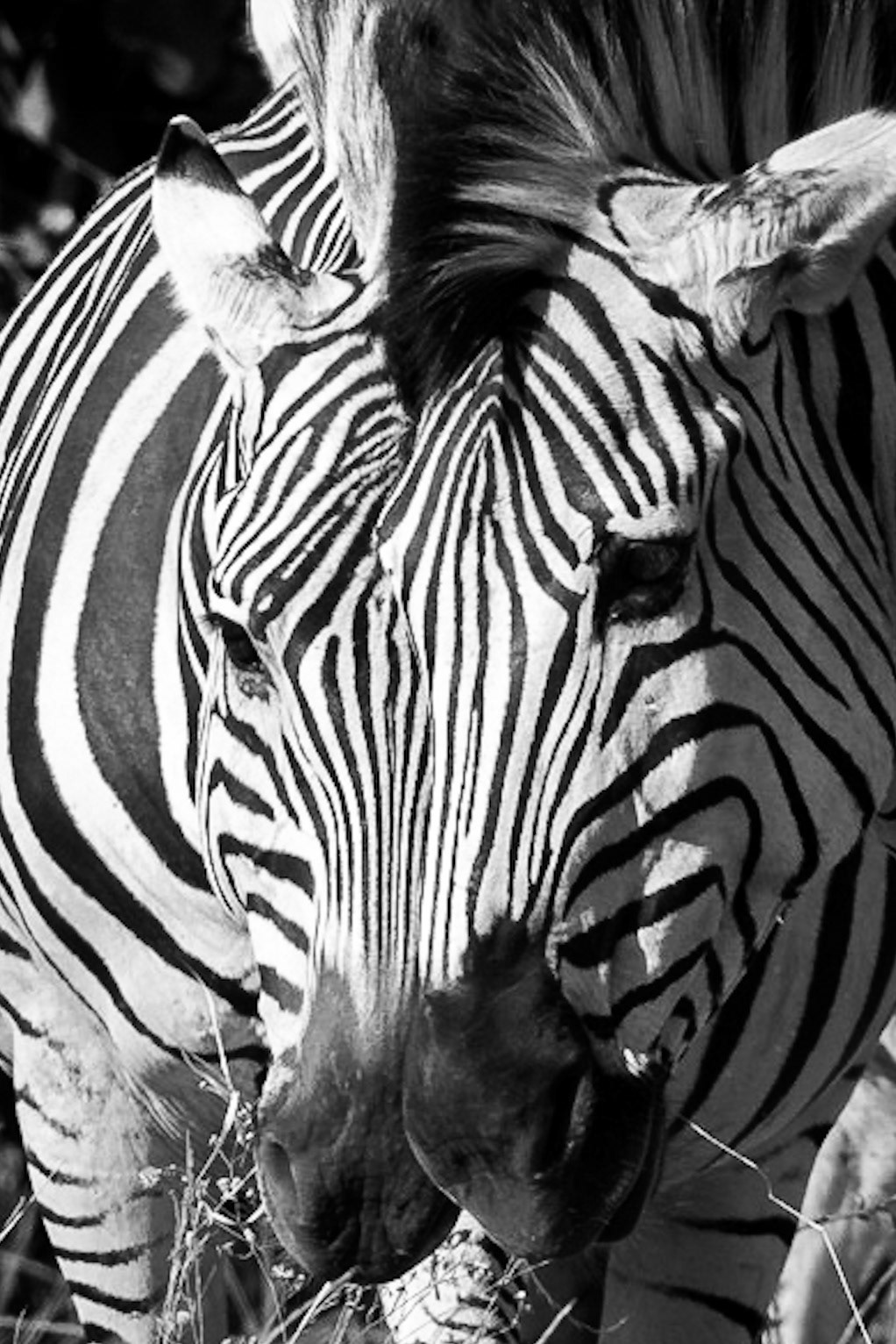 Eye to Eye