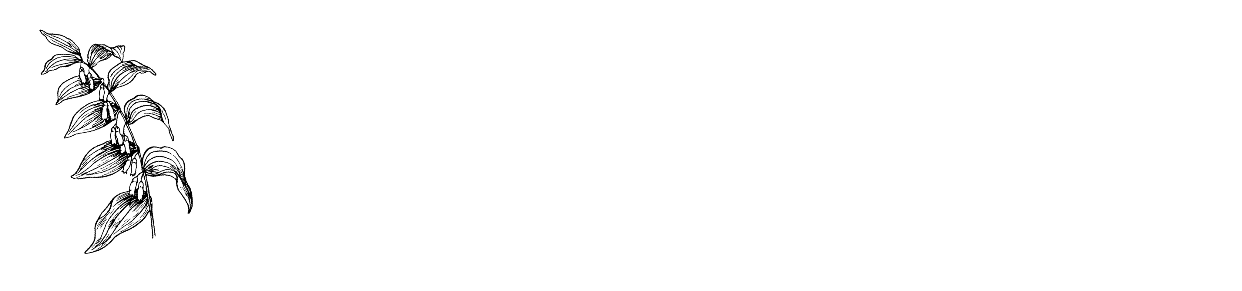 Alex Klein, Herbalist