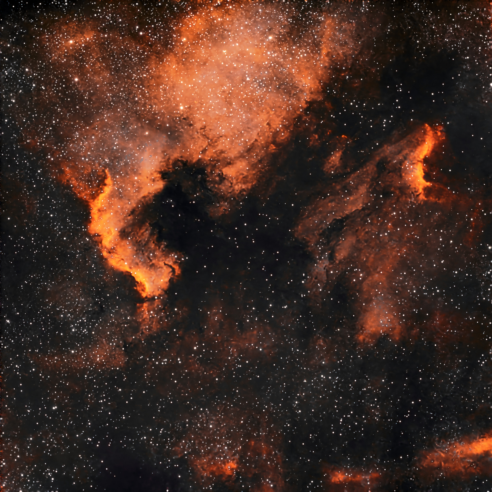 NGC7000 Nebulosas Norteamérica y Pelícano