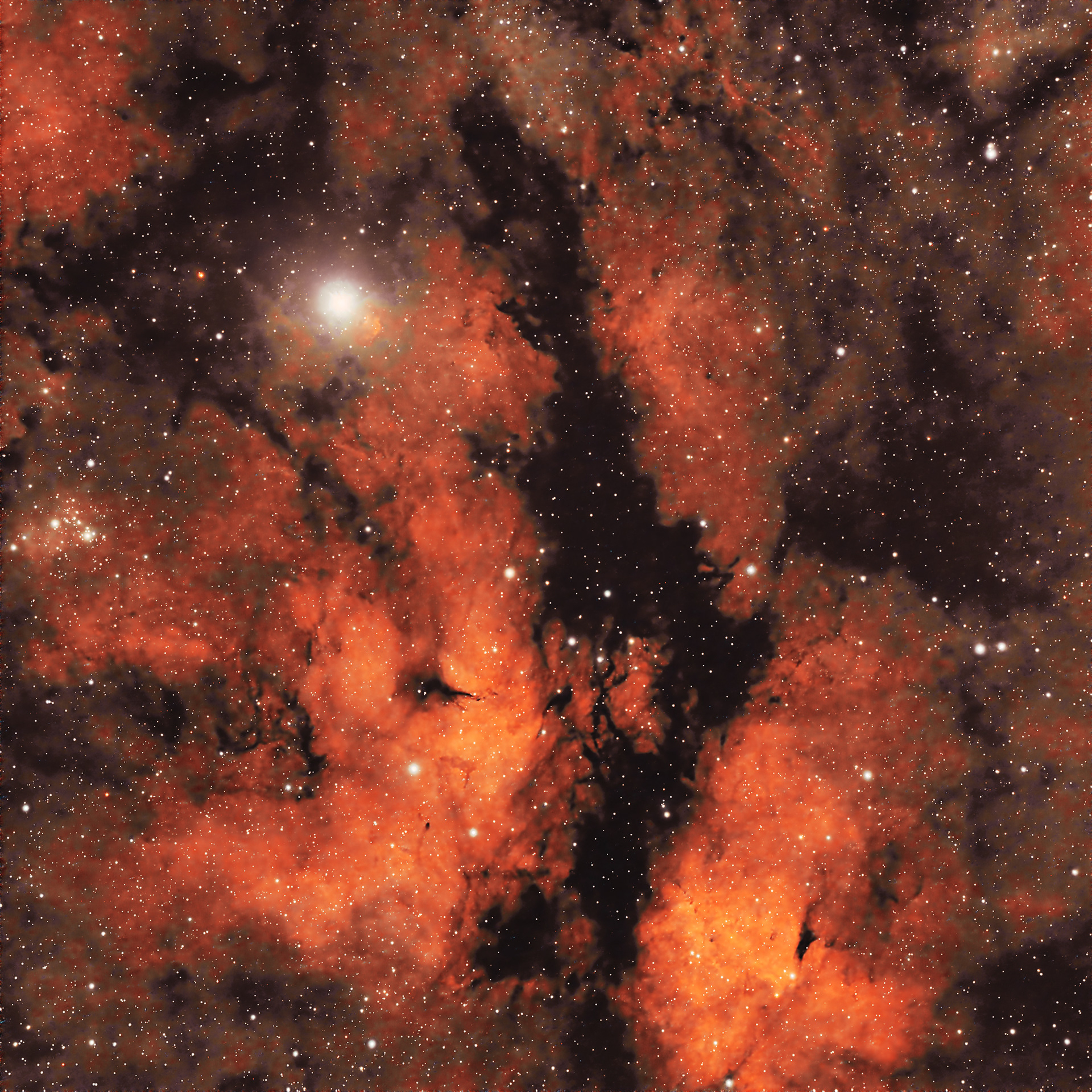 Nebulosa de Gamma Cygni
