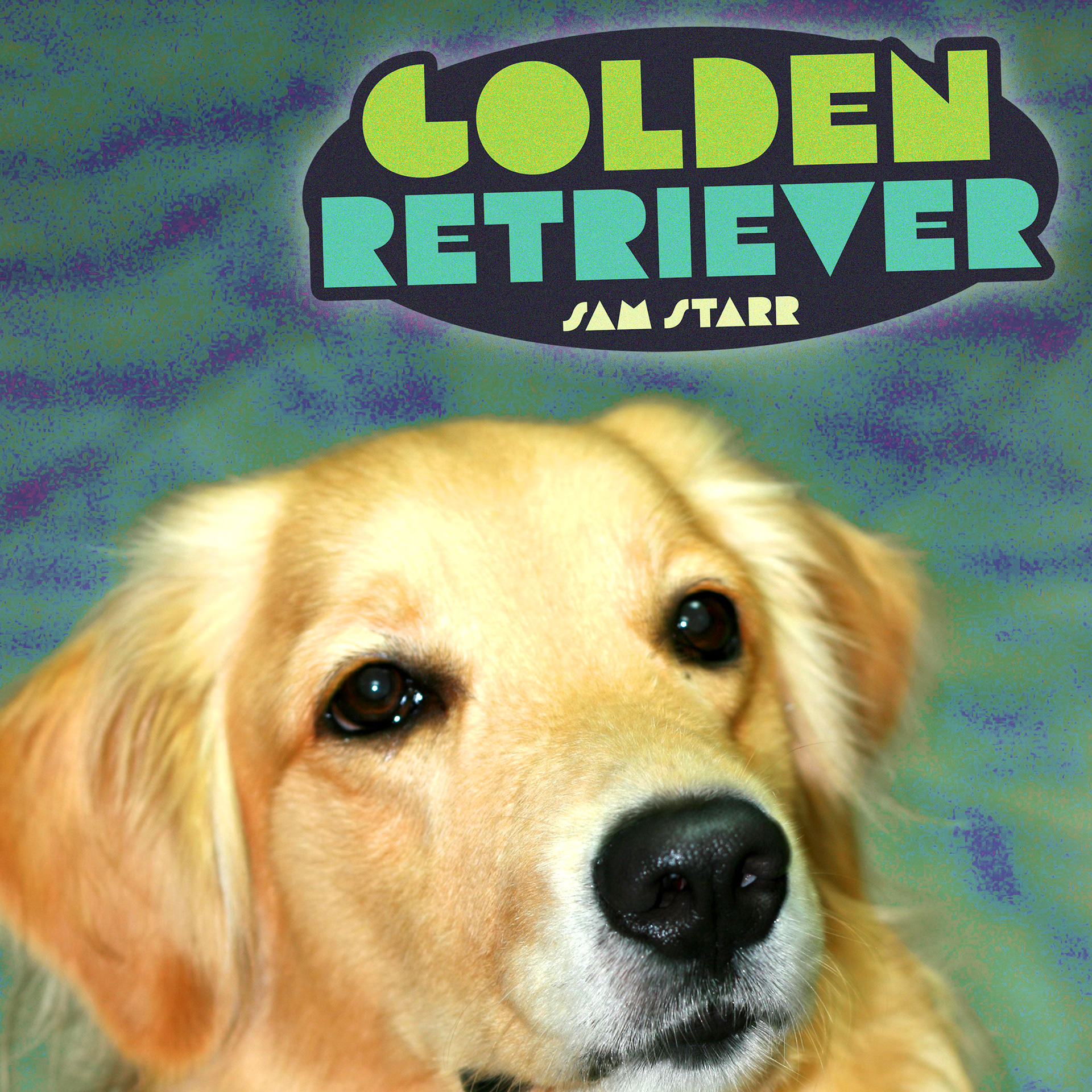 Golden Retriever Album Cover