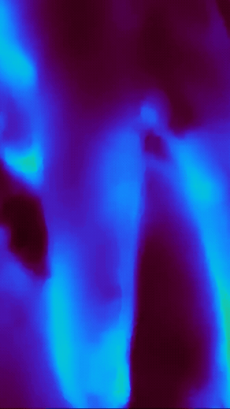Canvas 1