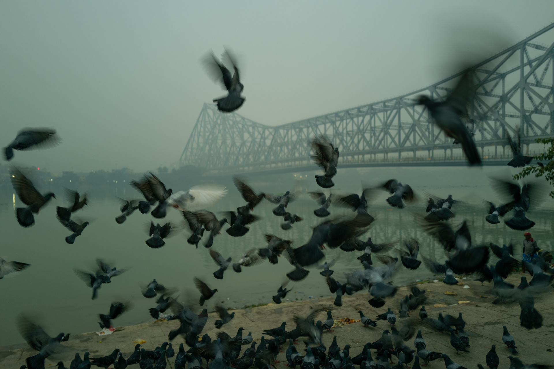 India.