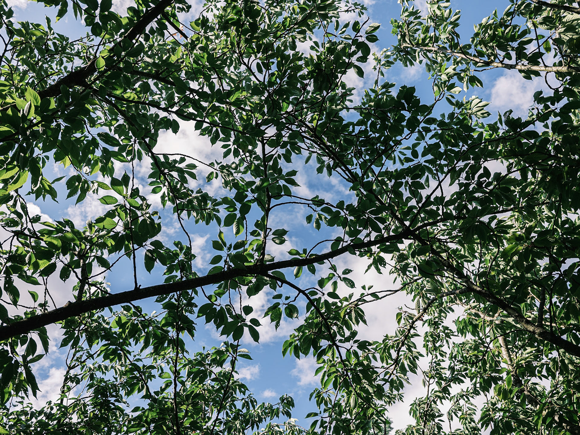 Nature's textures to change your mind. Nature is evermoving, everchanging. So are we.