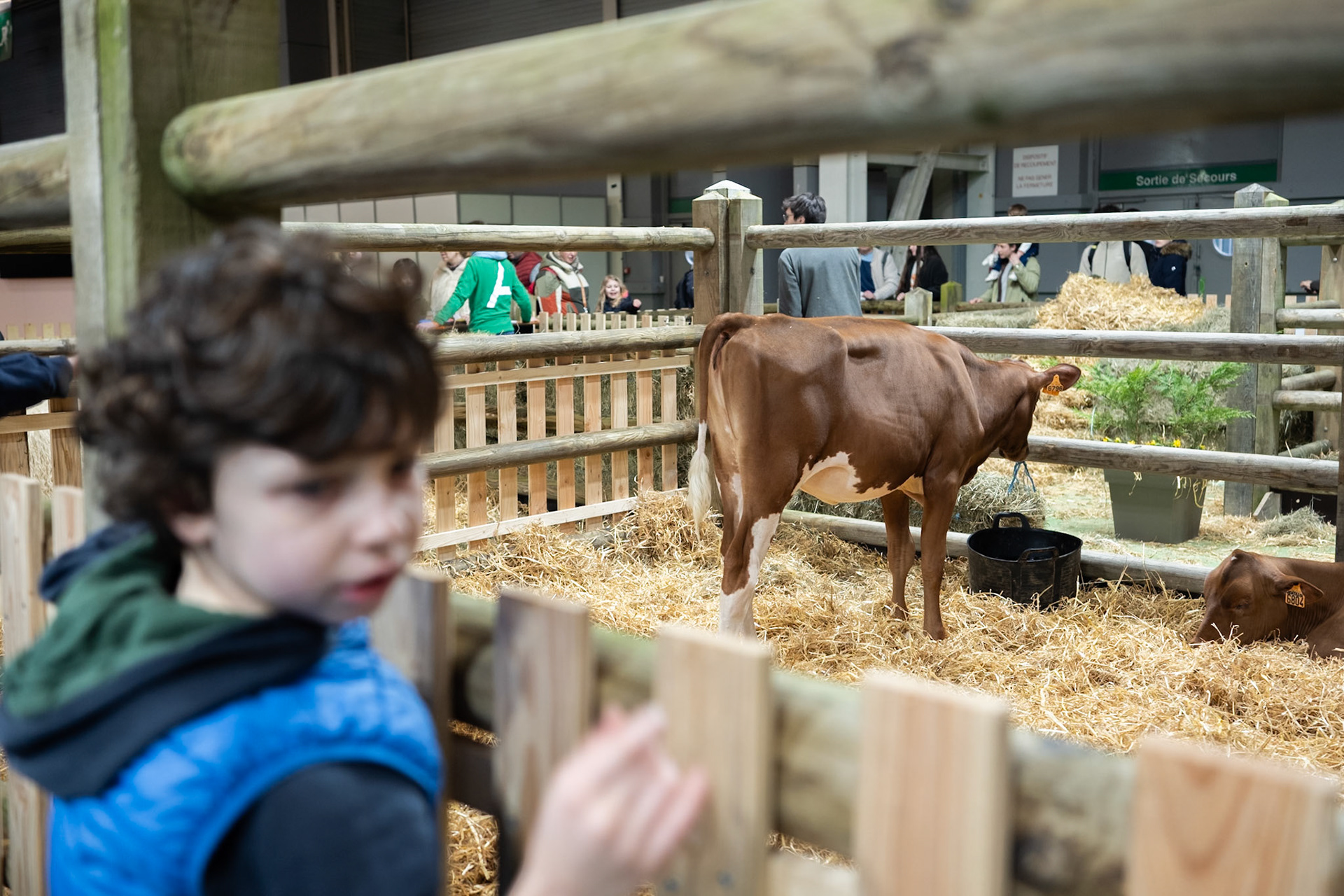 Salon D' Agriculture (Agricultural show) 2025, in Porte de versaille, Paris, France. On the opening day February 22nd. Paris, France, by Maria KALAFATSI