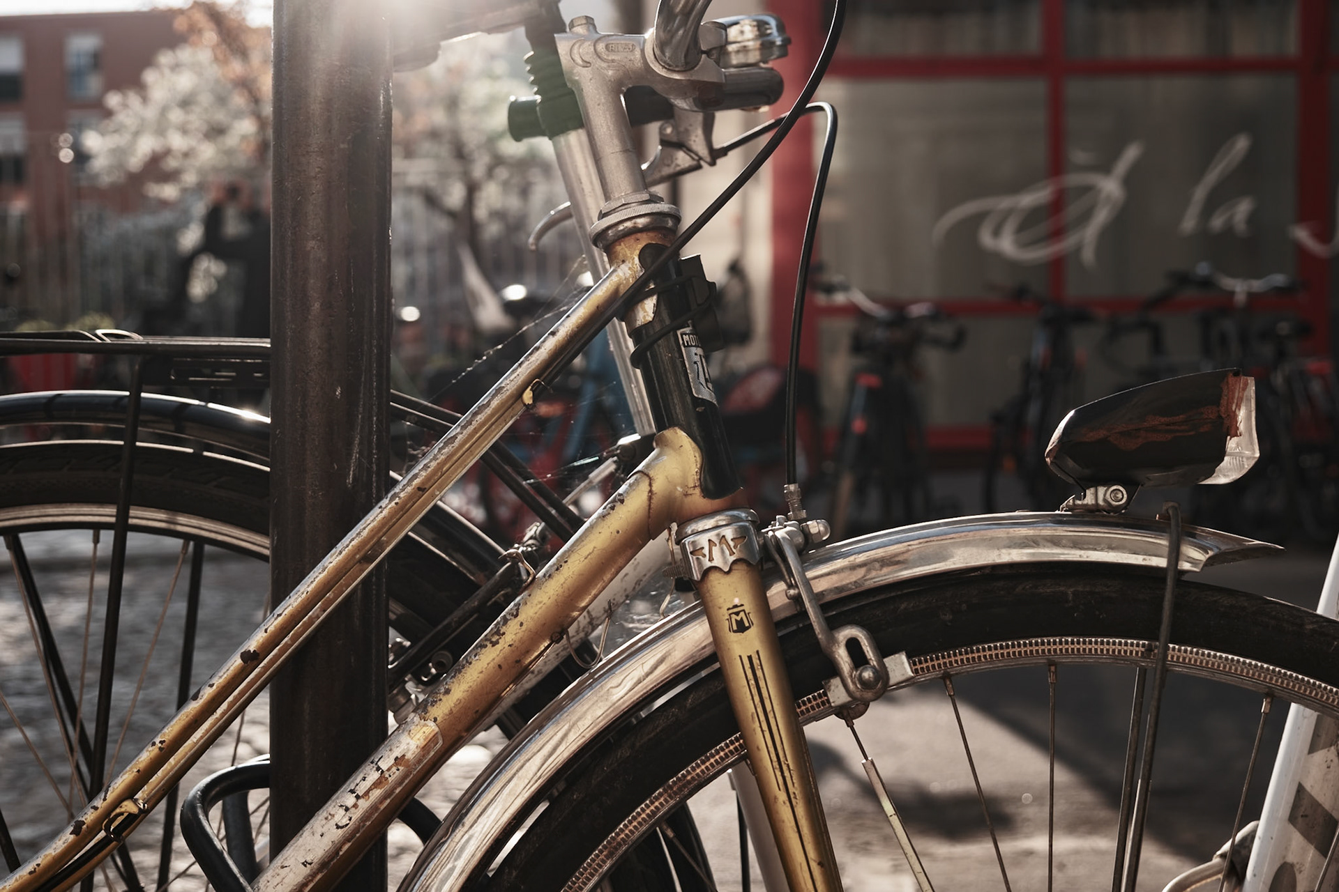 Humble Bicycles around Paris, Jardin de la Folie Titon, Paris, France, March 2025, by Maria KALAFATSI
