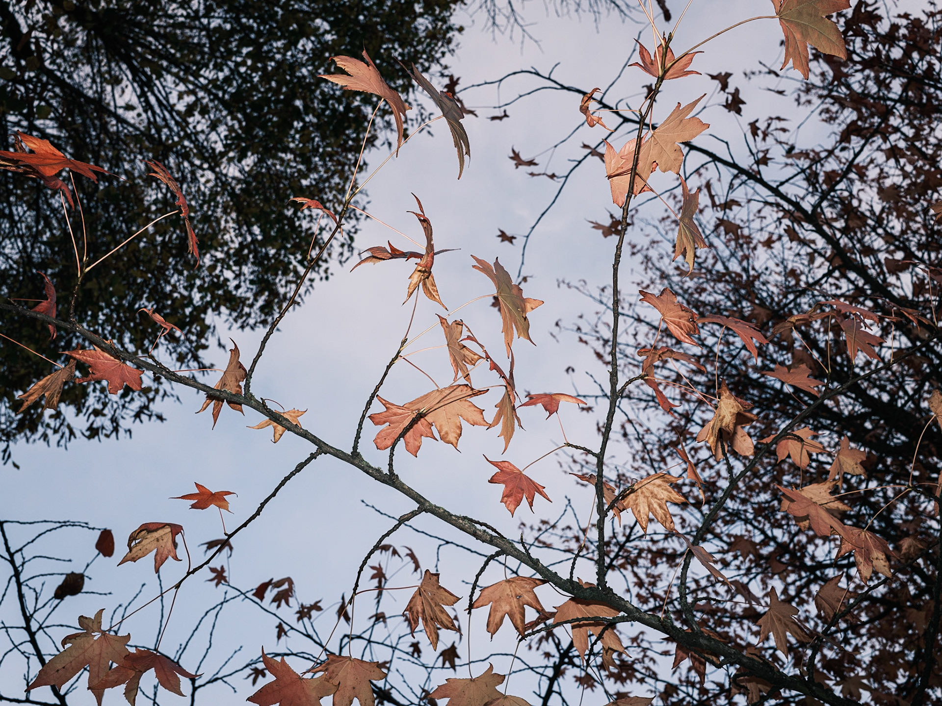 Nature's textures to change your mind. Nature is evermoving, everchanging. So are we.