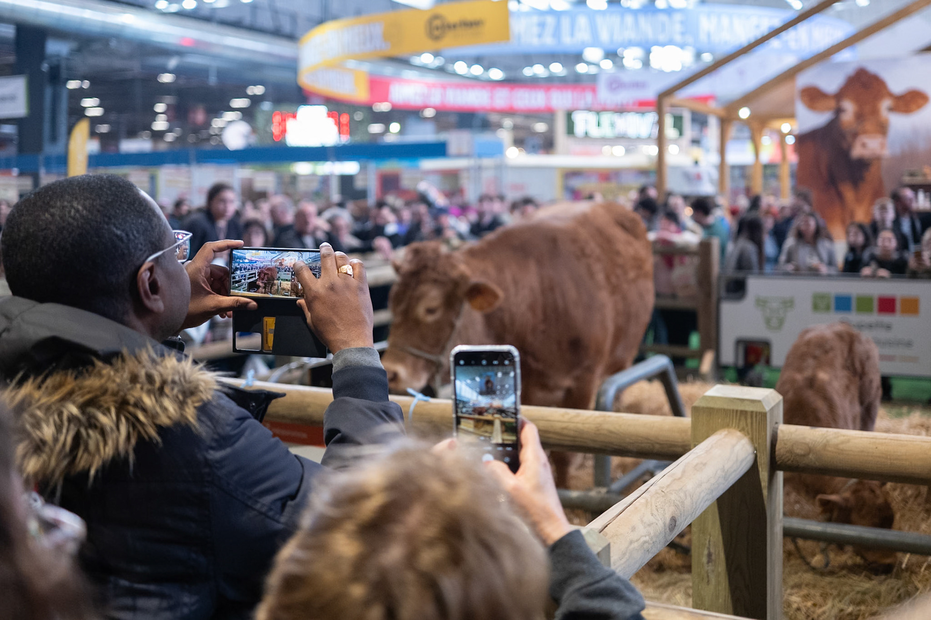 Salon D'Agriculture (Agricultural show) 2025, in Porte de versaille, Paris, France. On the opening day February 22nd. Paris, France,  by Maria KALAFATSI