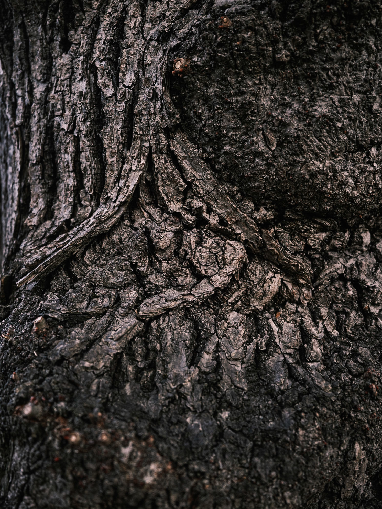 Nature's textures to change your mind. Nature is evermoving, everchanging. So are we.