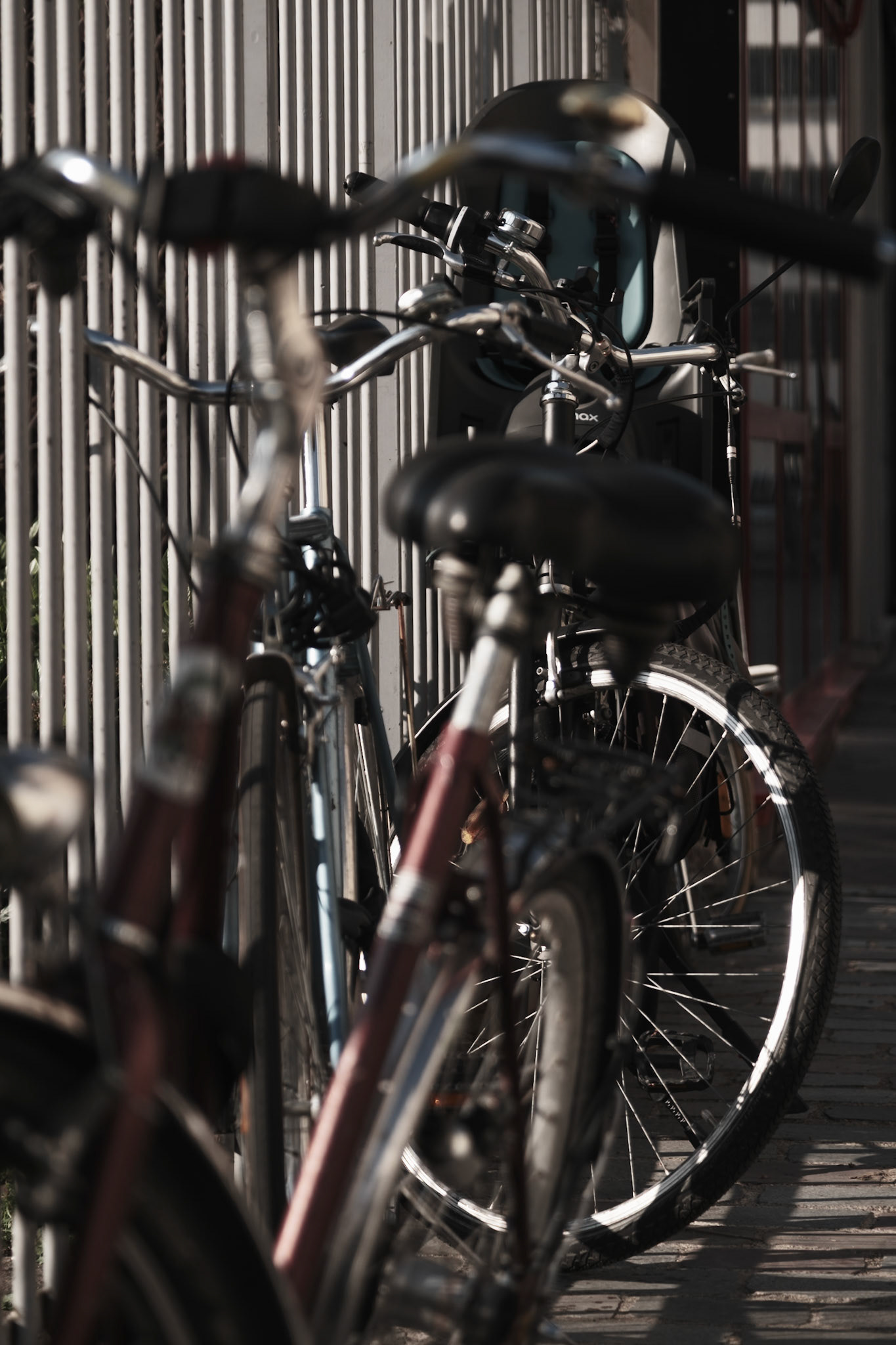 Humble Bicycles around Paris, Jardin de la Folie Titon, Paris, France, March 2025, by Maria KALAFATSI