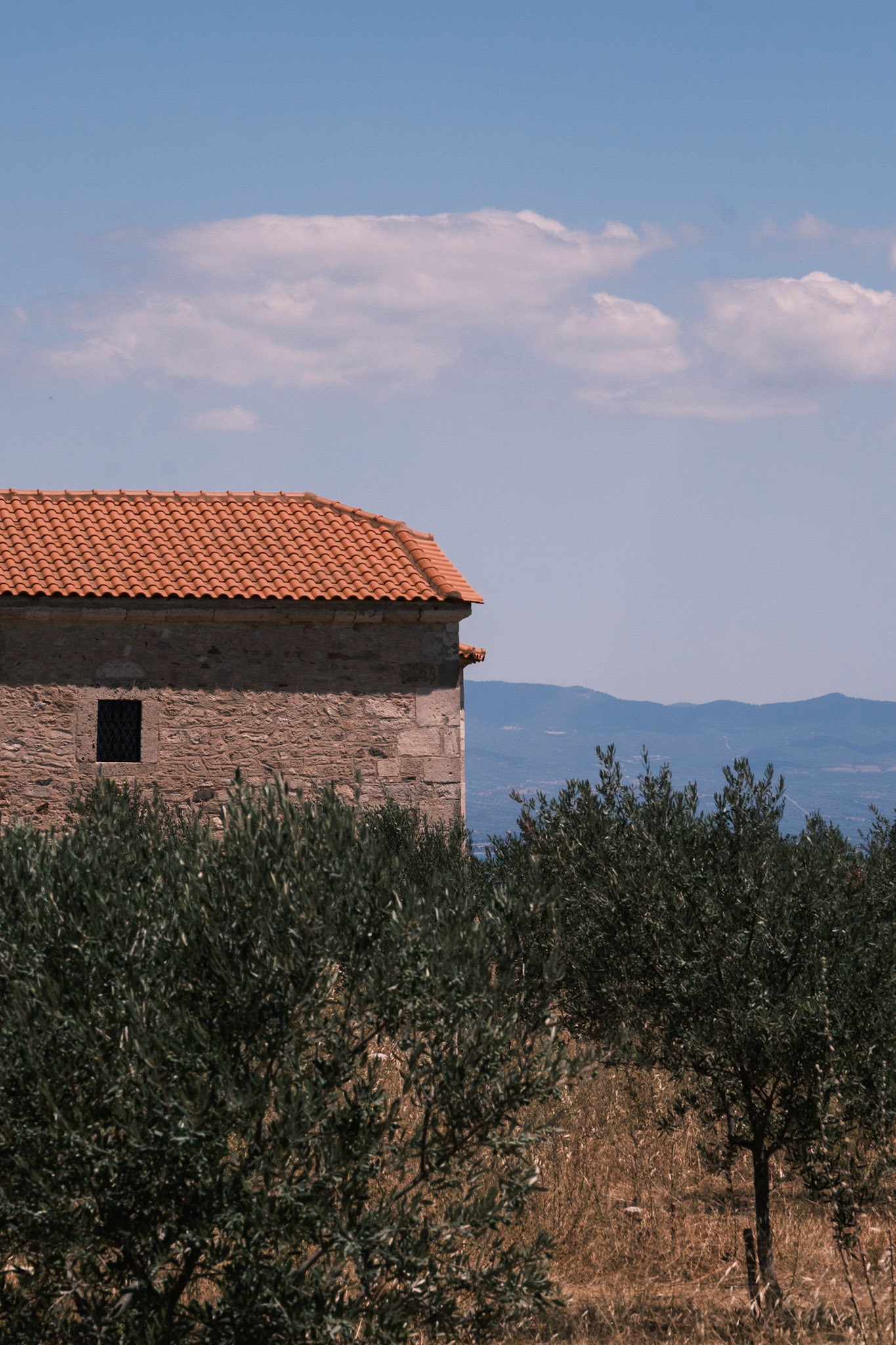 Μετόχι Νέας Ποτίδαιας, Δήμος Νέας Προποντίδας, Χαλκιδική, Ελλάδα. Ιούνιος 2024, Μαρία Καλαφατσή