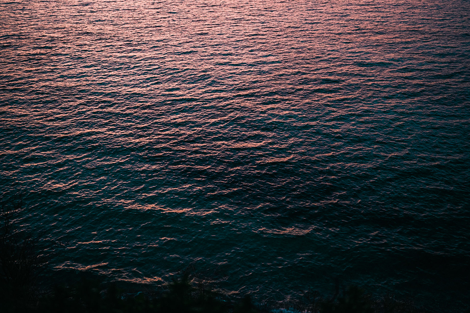 Nature's textures to change your mind. Nature is evermoving, everchanging. So are we.