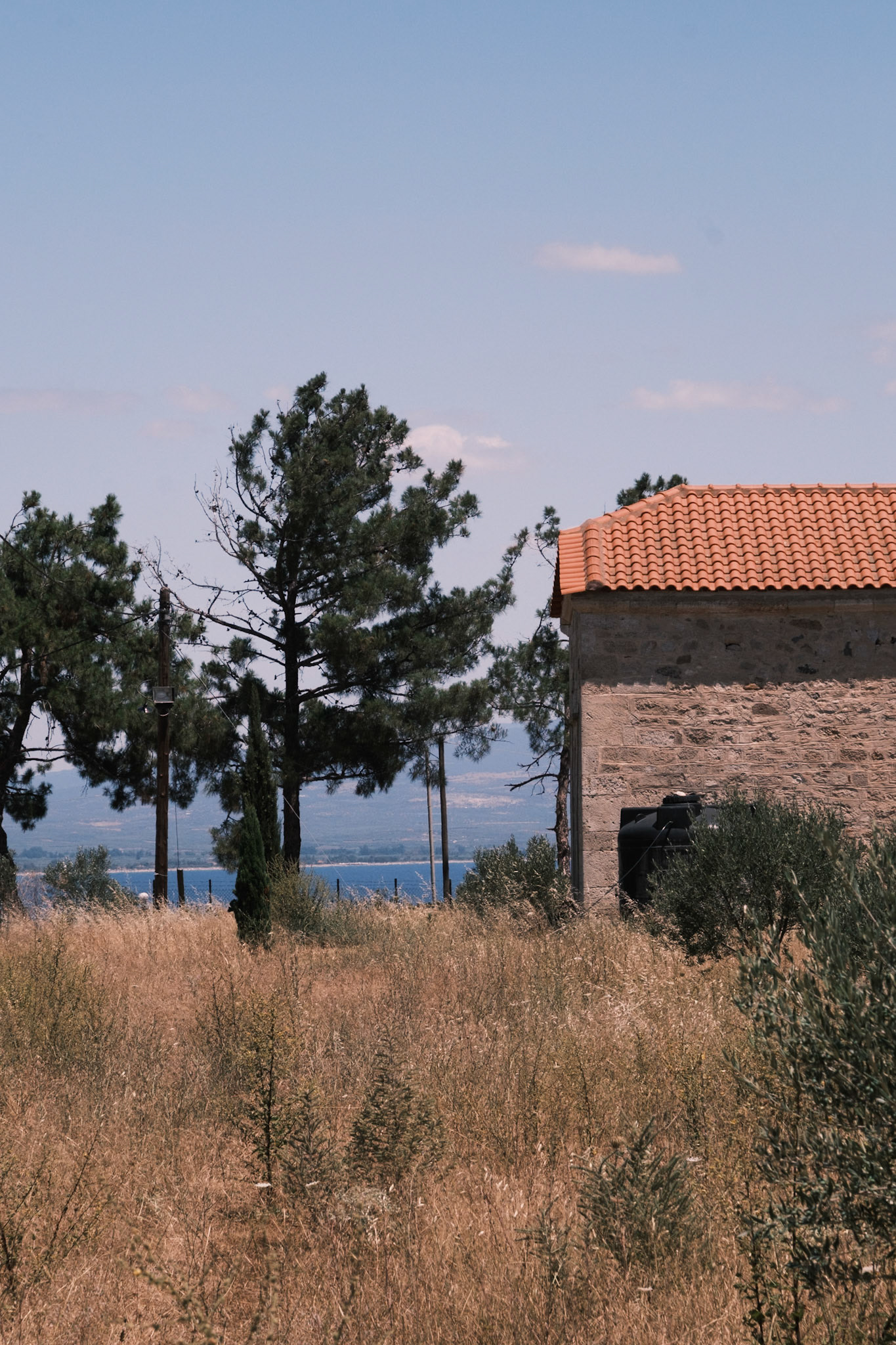 Μετόχι Νέας Ποτίδαιας, Δήμος Νέας Προποντίδας, Χαλκιδική, Ελλάδα. Ιούνιος 2024, Μαρία Καλαφατσή
